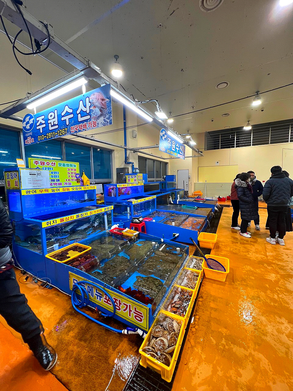 주원수산 청호활어회센터본점