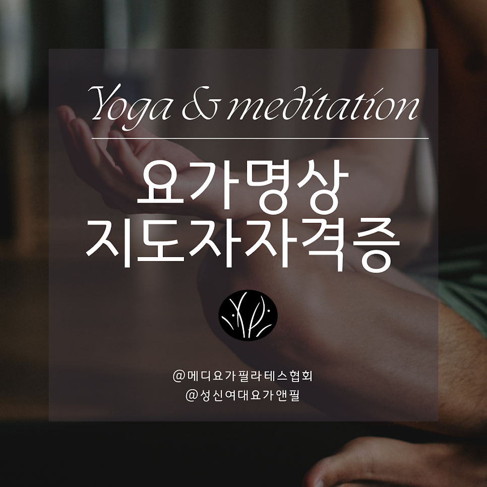 메디요가필라테스협회 대표 이미지