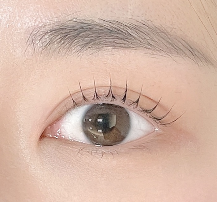로운라인