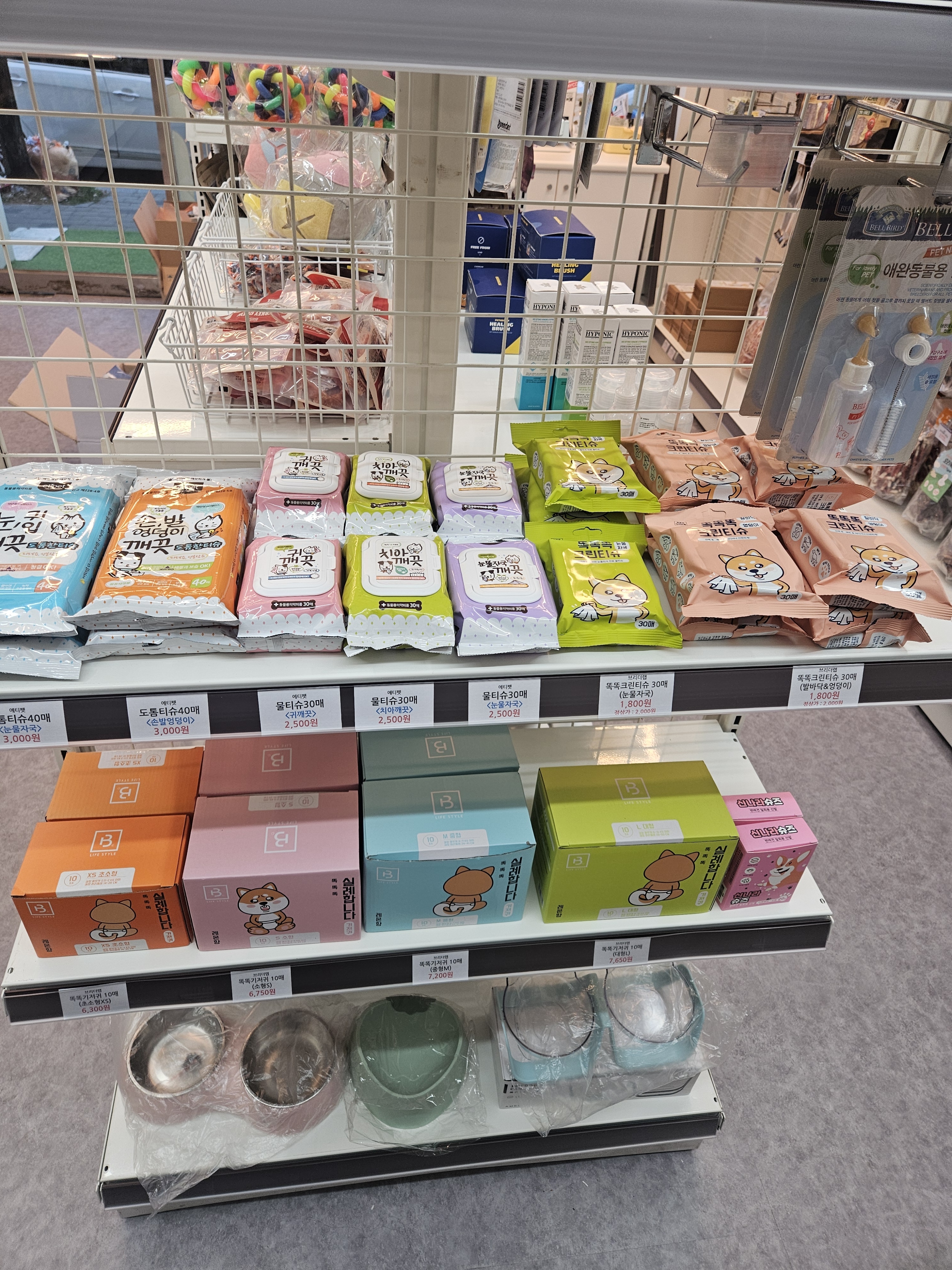 보딩펫츠 일곡점 대표 이미지