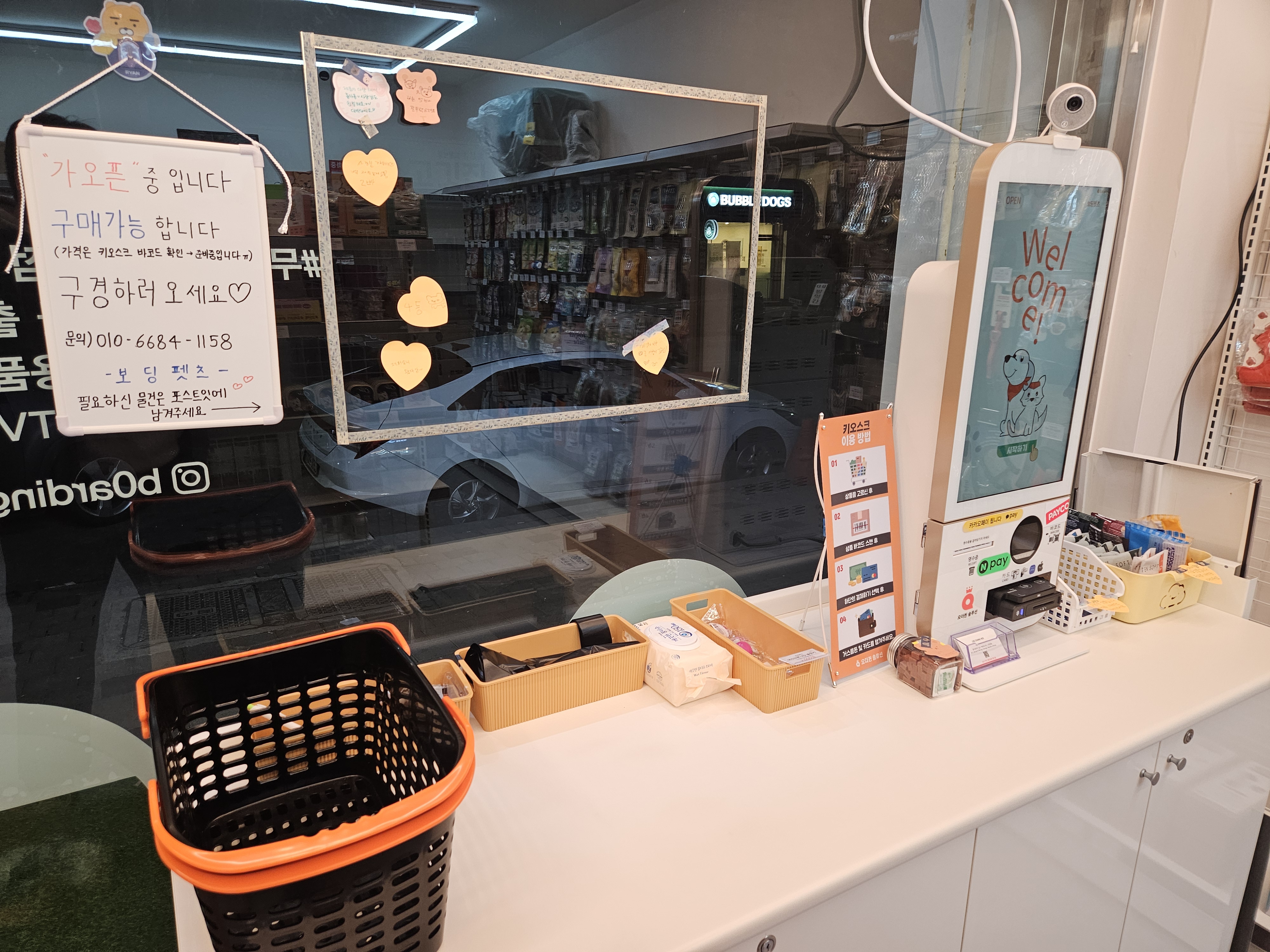 보딩펫츠 일곡점 대표 이미지