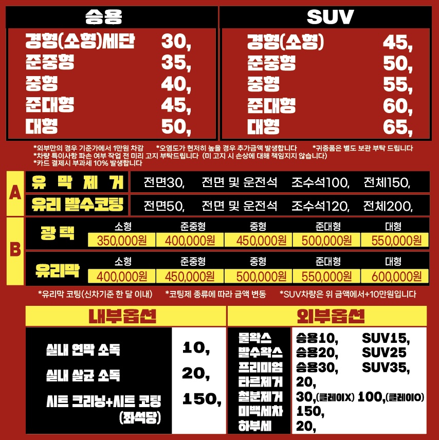청년 손스팀 세차장