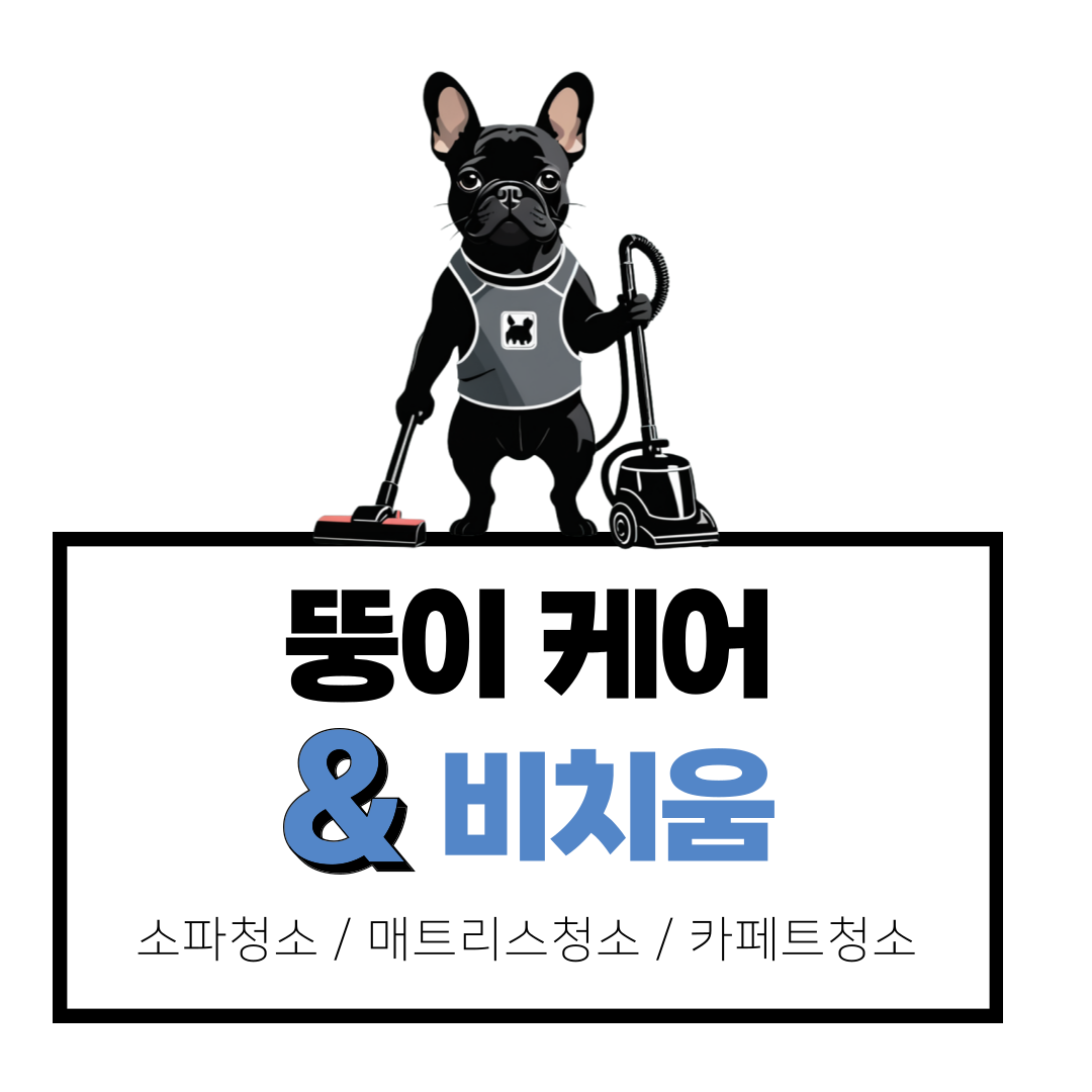 뚱이케어&비치움