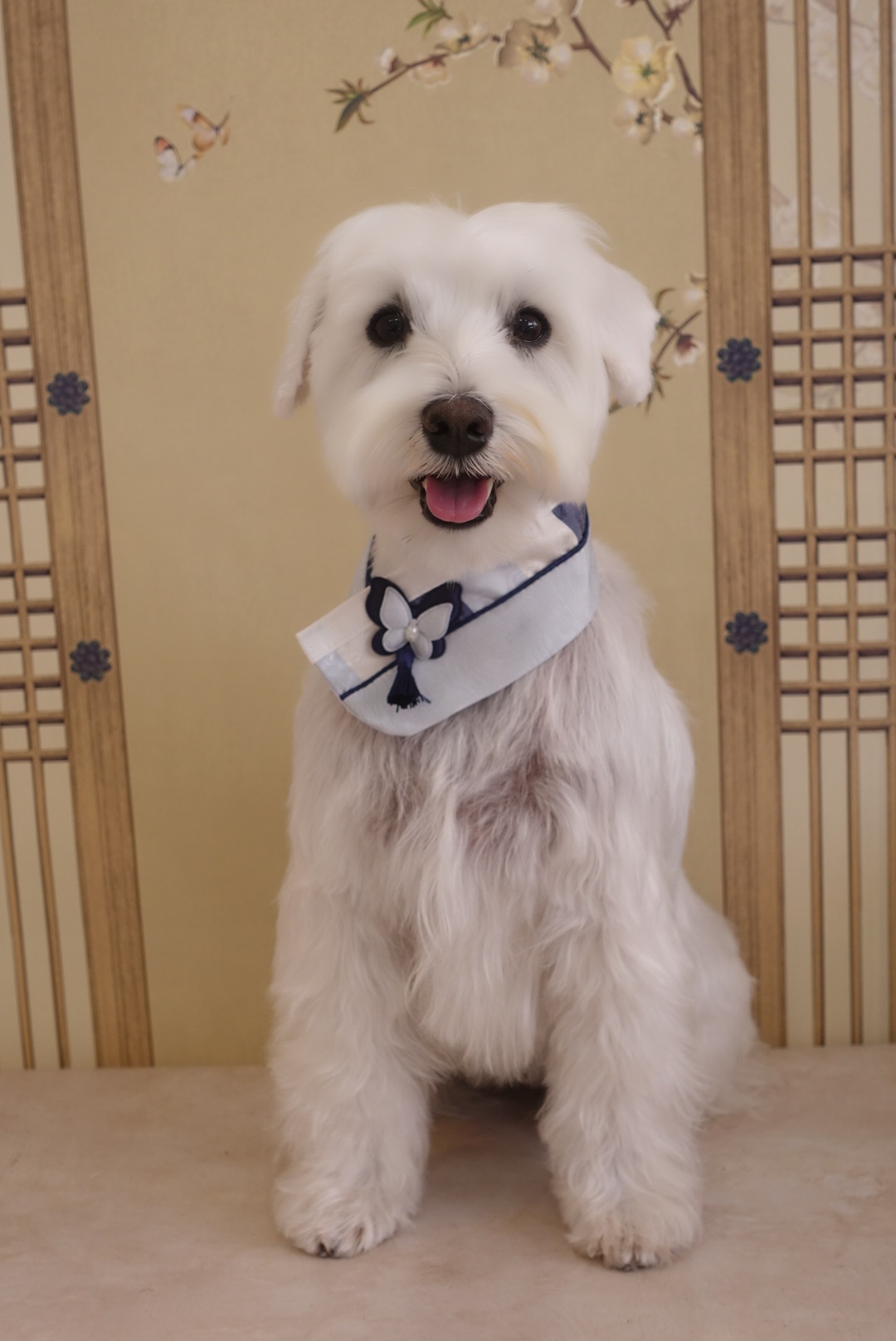 그루밍호찌 대표 이미지