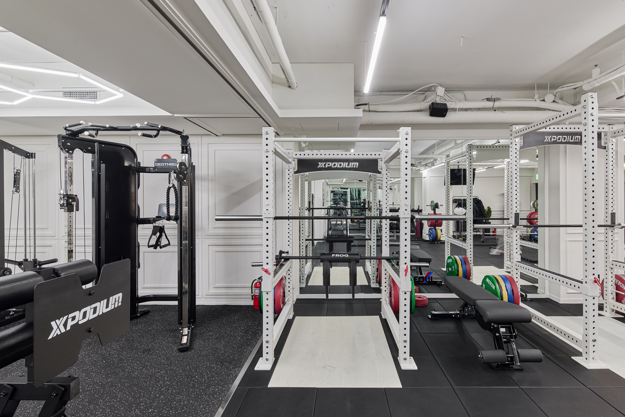 서울리프팅클럽 대표 이미지