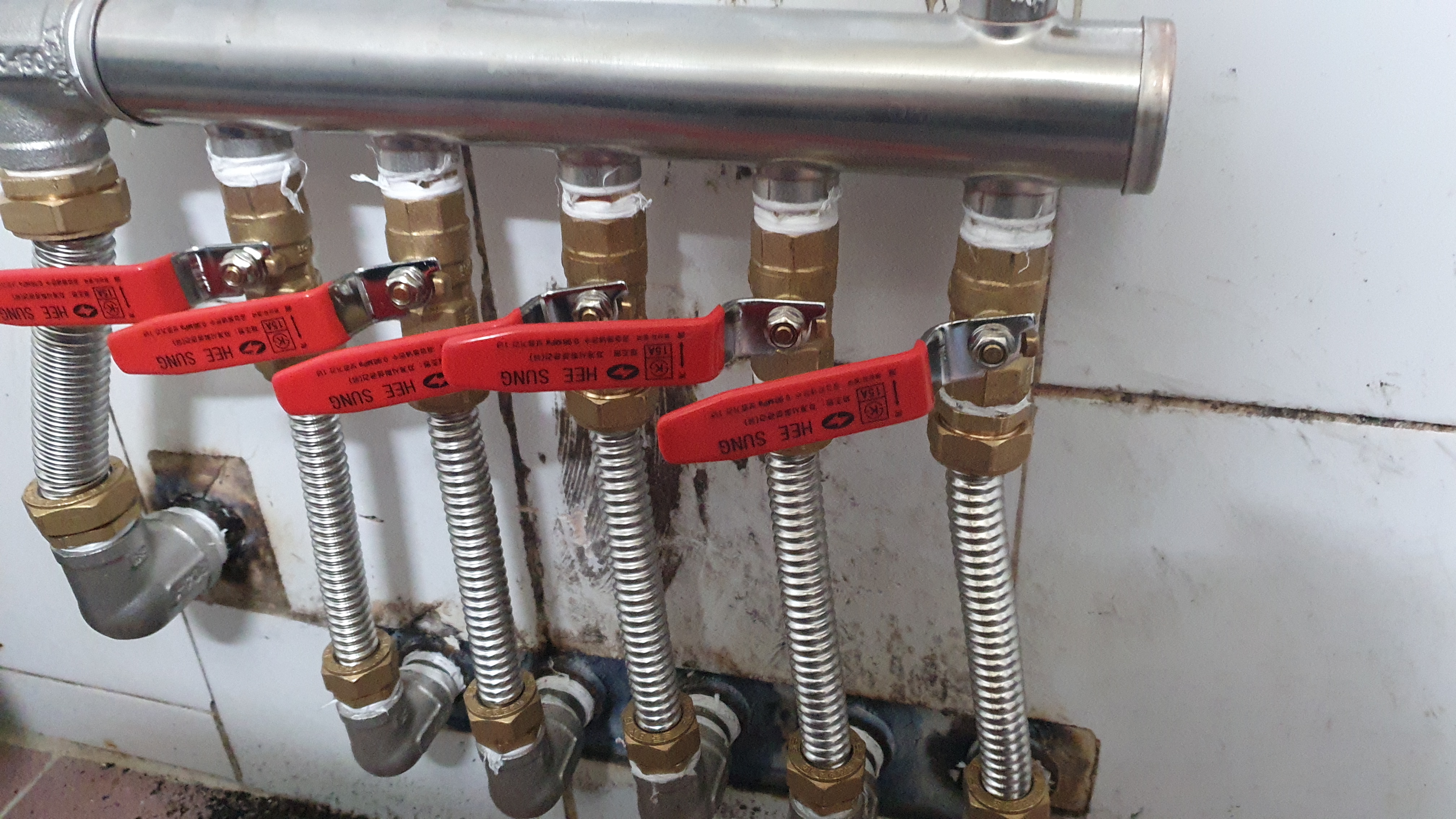 알파 대표 이미지