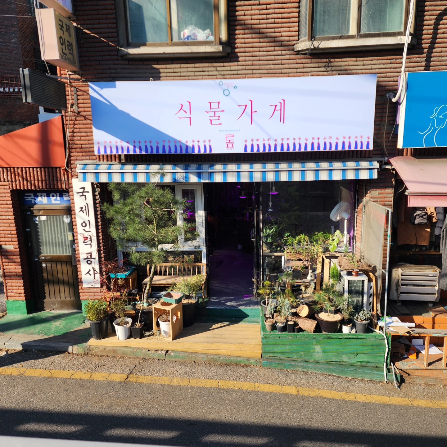 흙마법사의식물연구소