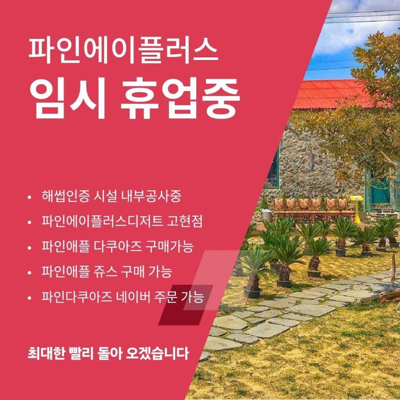 파인에이플러스 설명사진