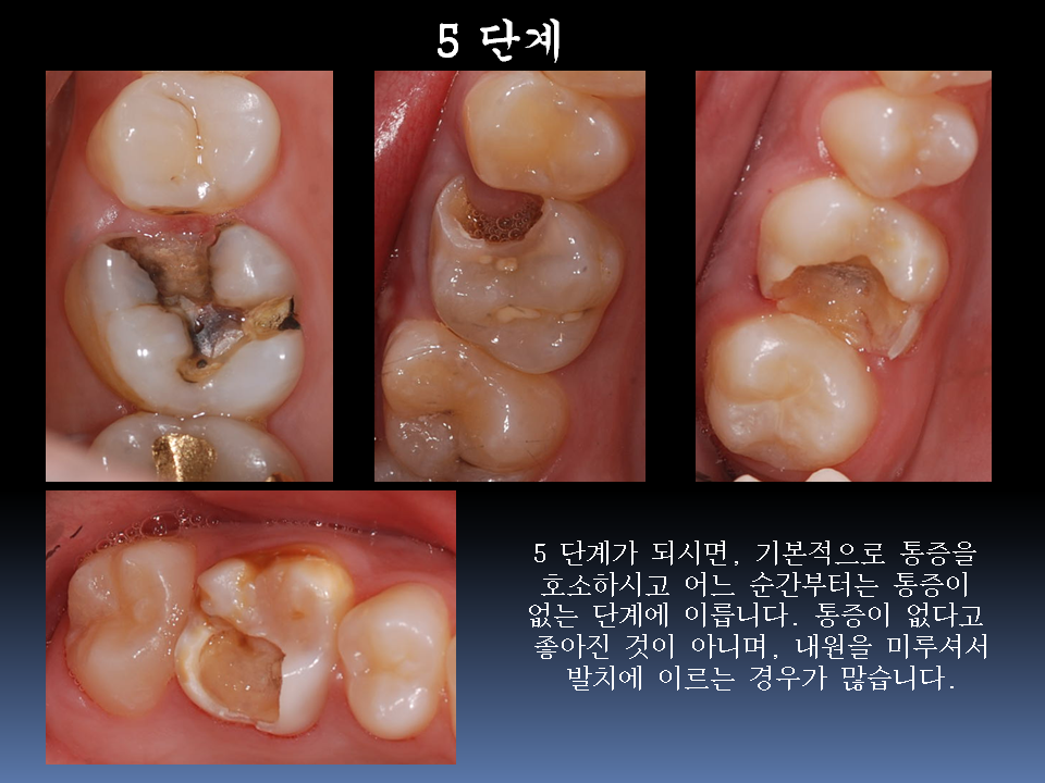 보스톤킹치과의원 대표 이미지