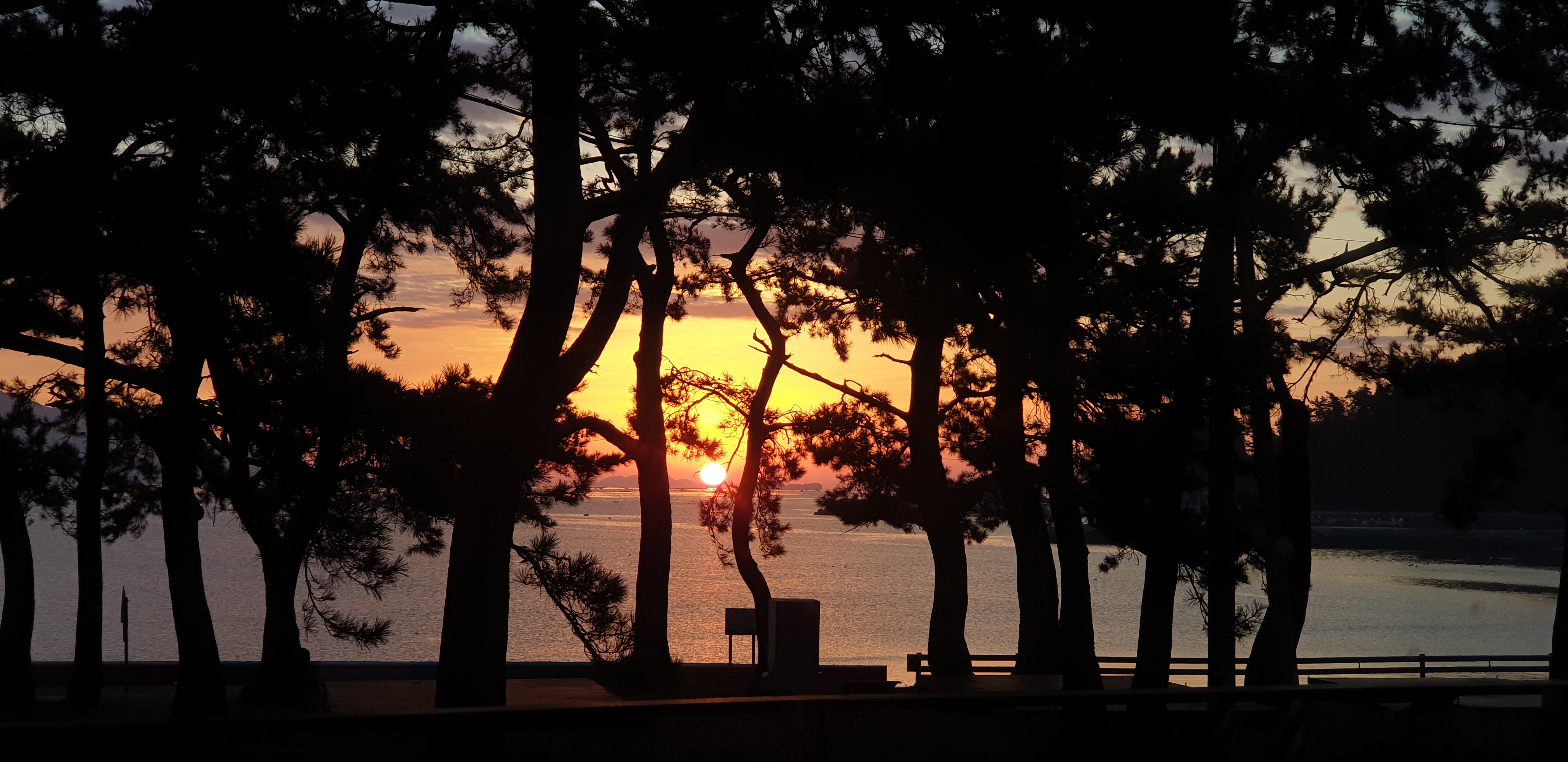 카페동고리 대표 이미지