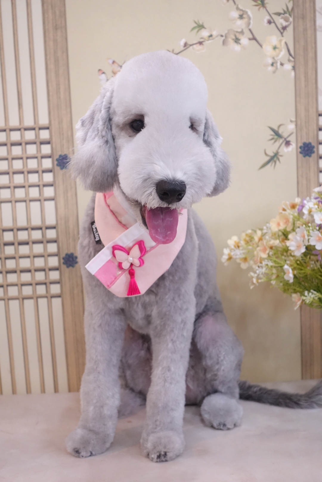 그루밍호찌 대표 이미지