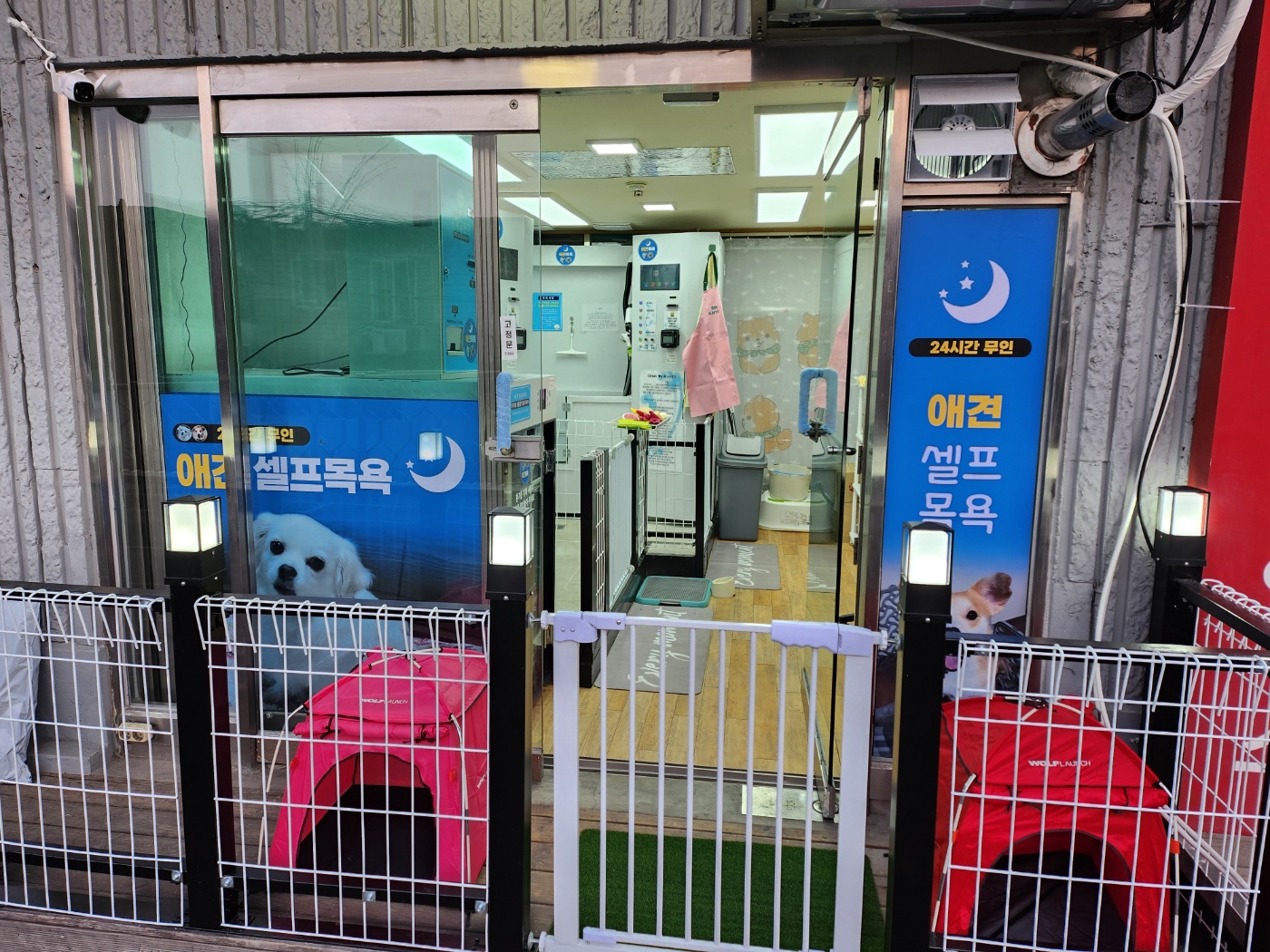무인애견강아지셀프목욕 은평점 대표 이미지