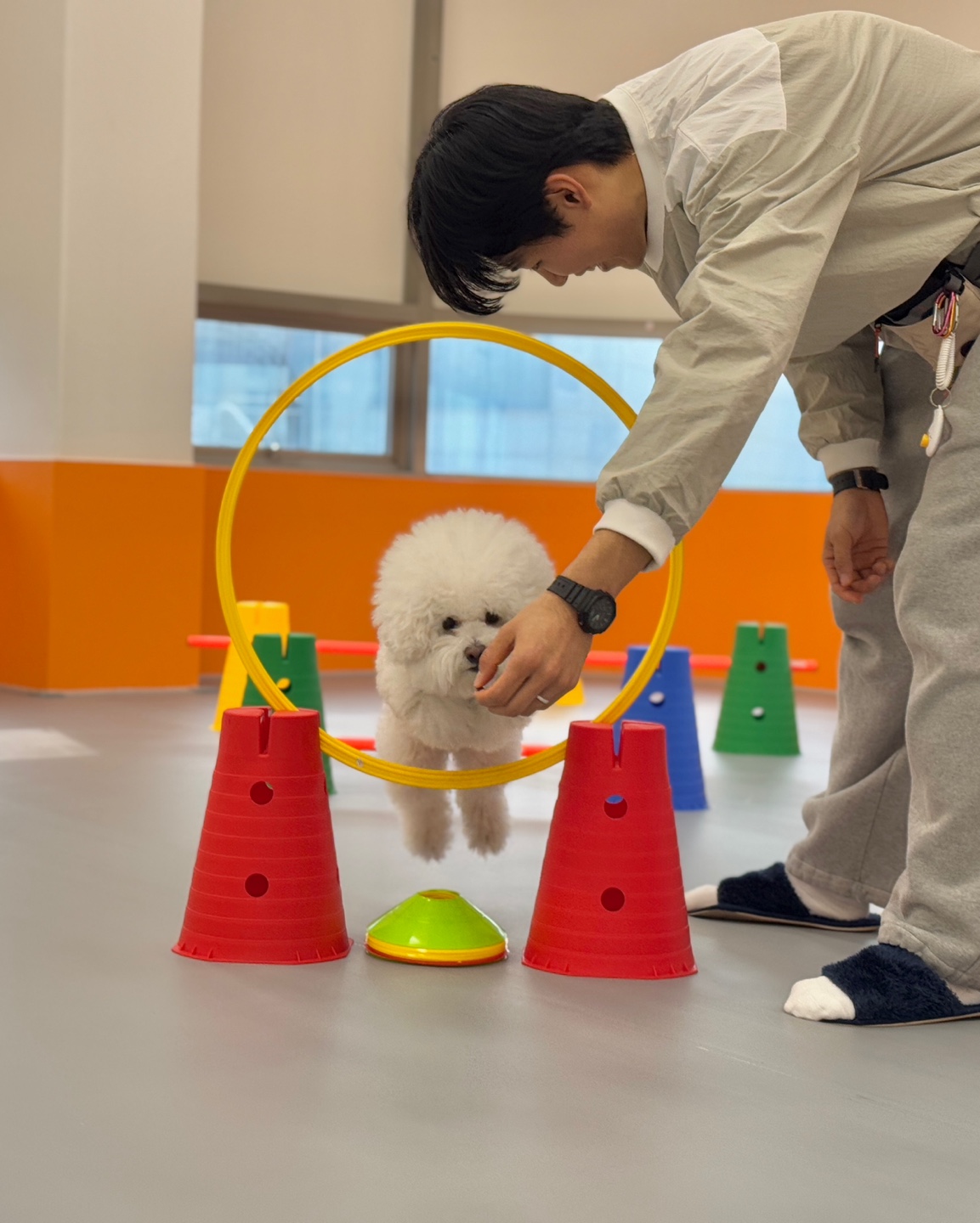 밤밤애견유치원&호텔링 대표 이미지