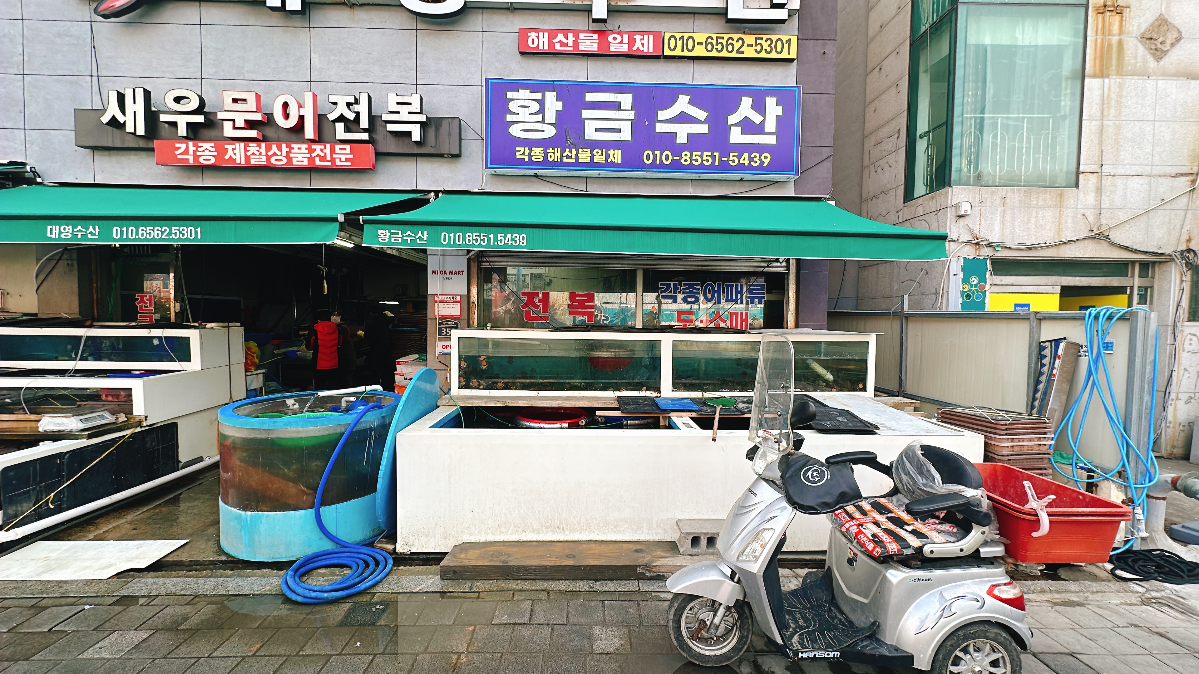 황금수산