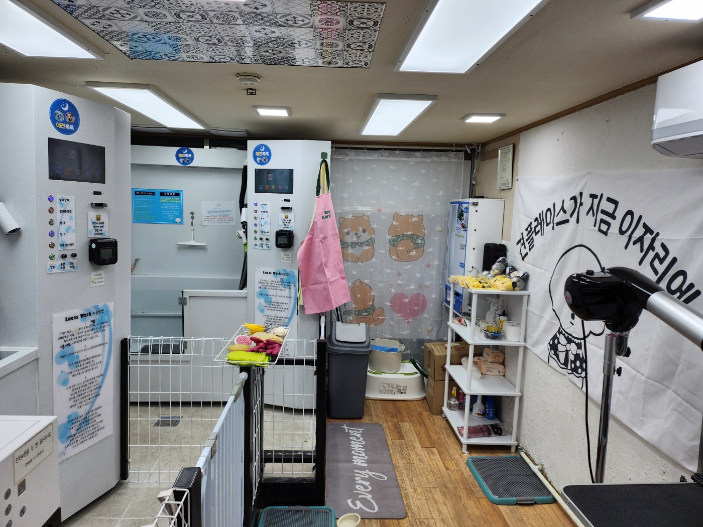무인애견강아지셀프목욕 은평점 대표 이미지