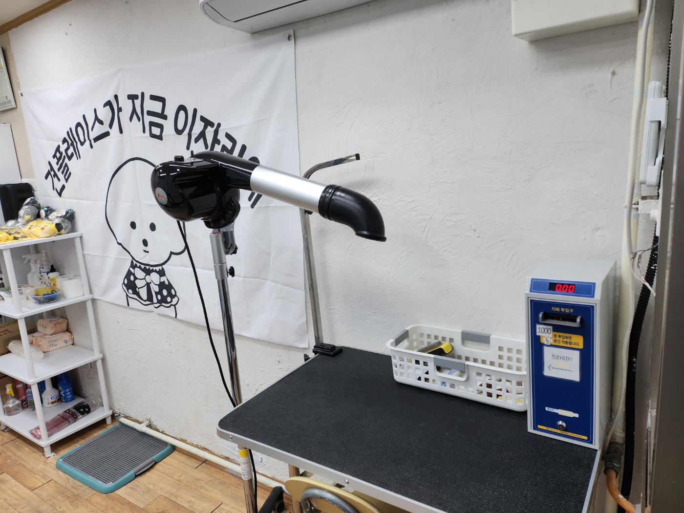 무인애견강아지셀프목욕 은평점 대표 이미지