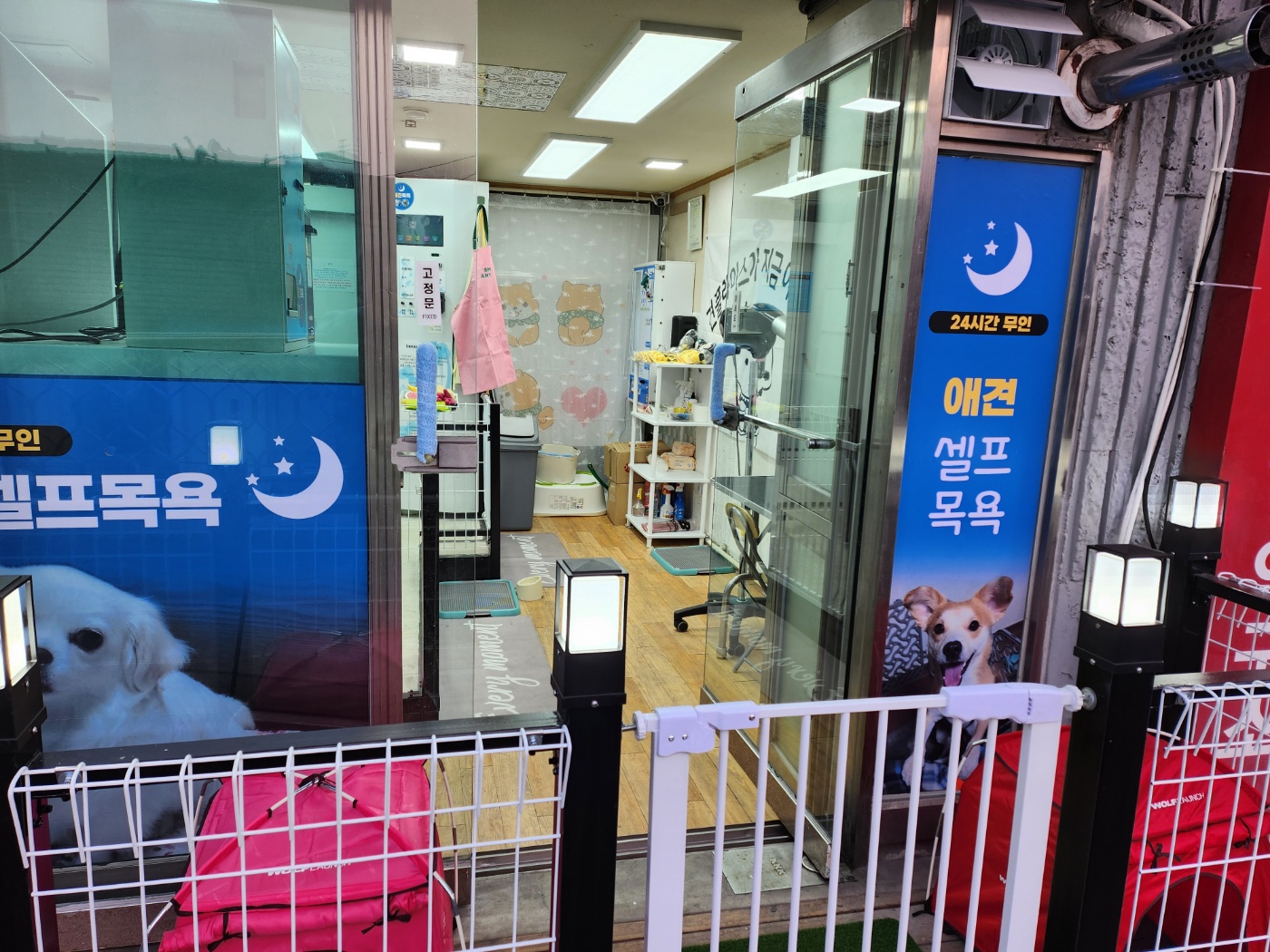 무인애견셀프목욕 대표 이미지