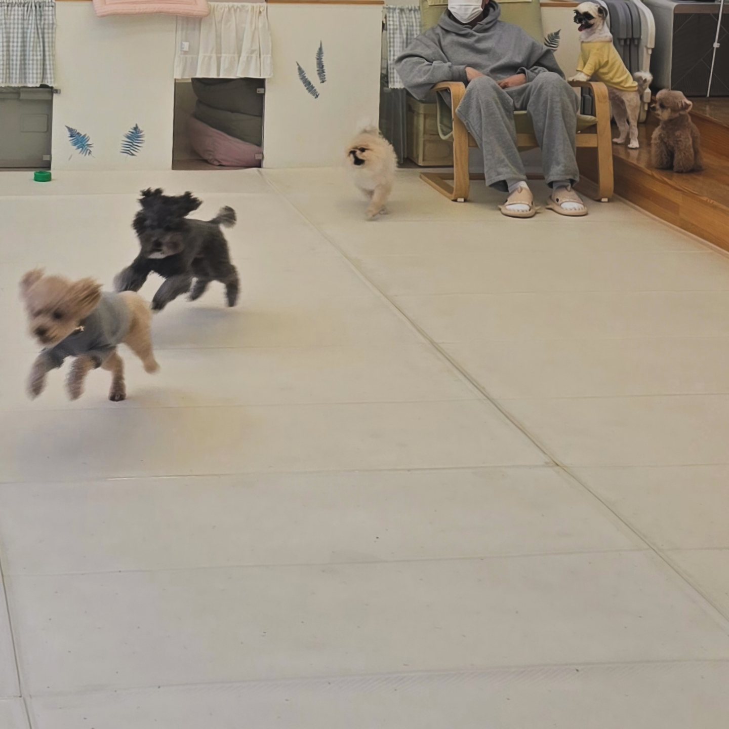 몽쥬 대표 이미지
