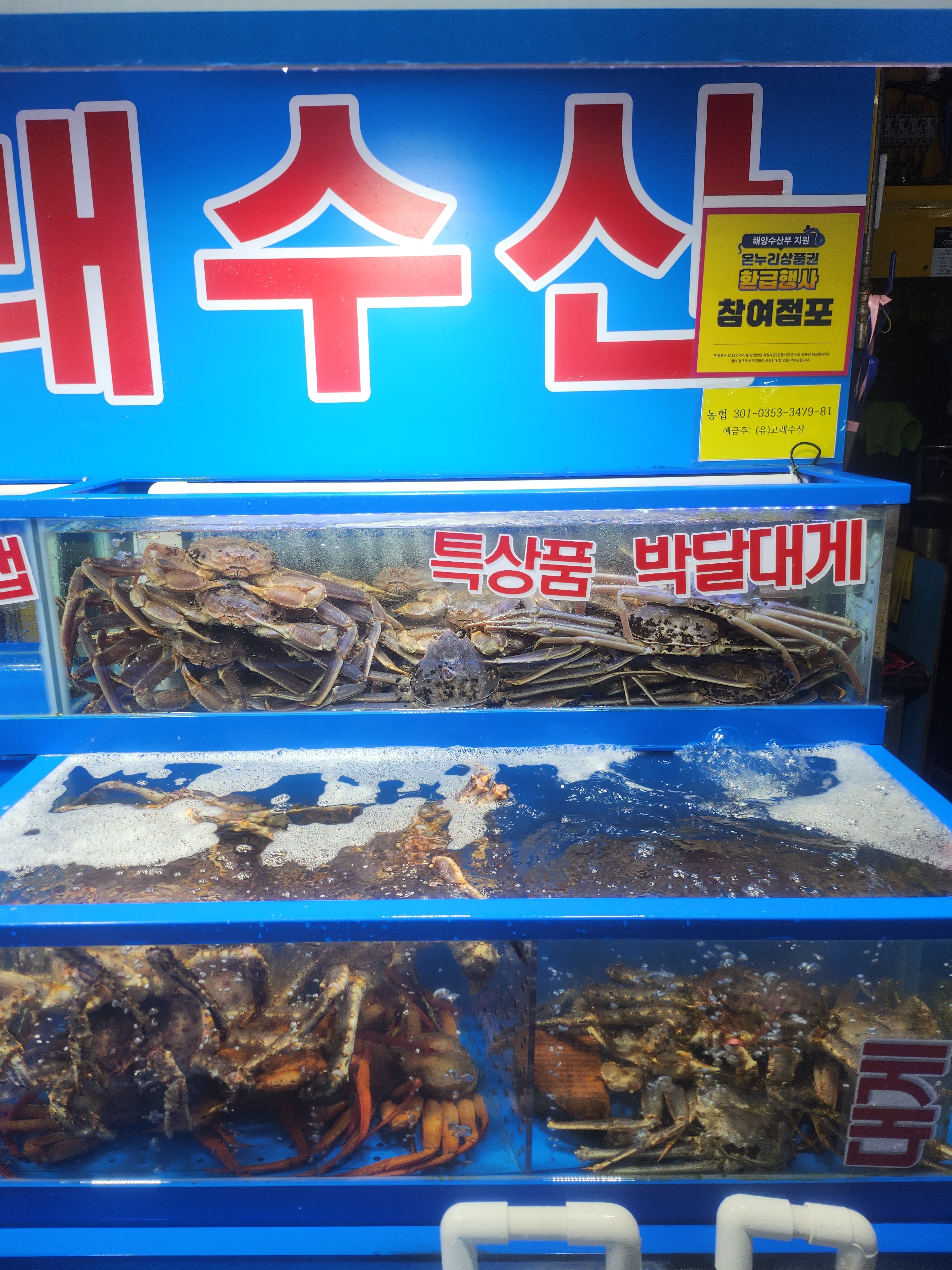 고래수산