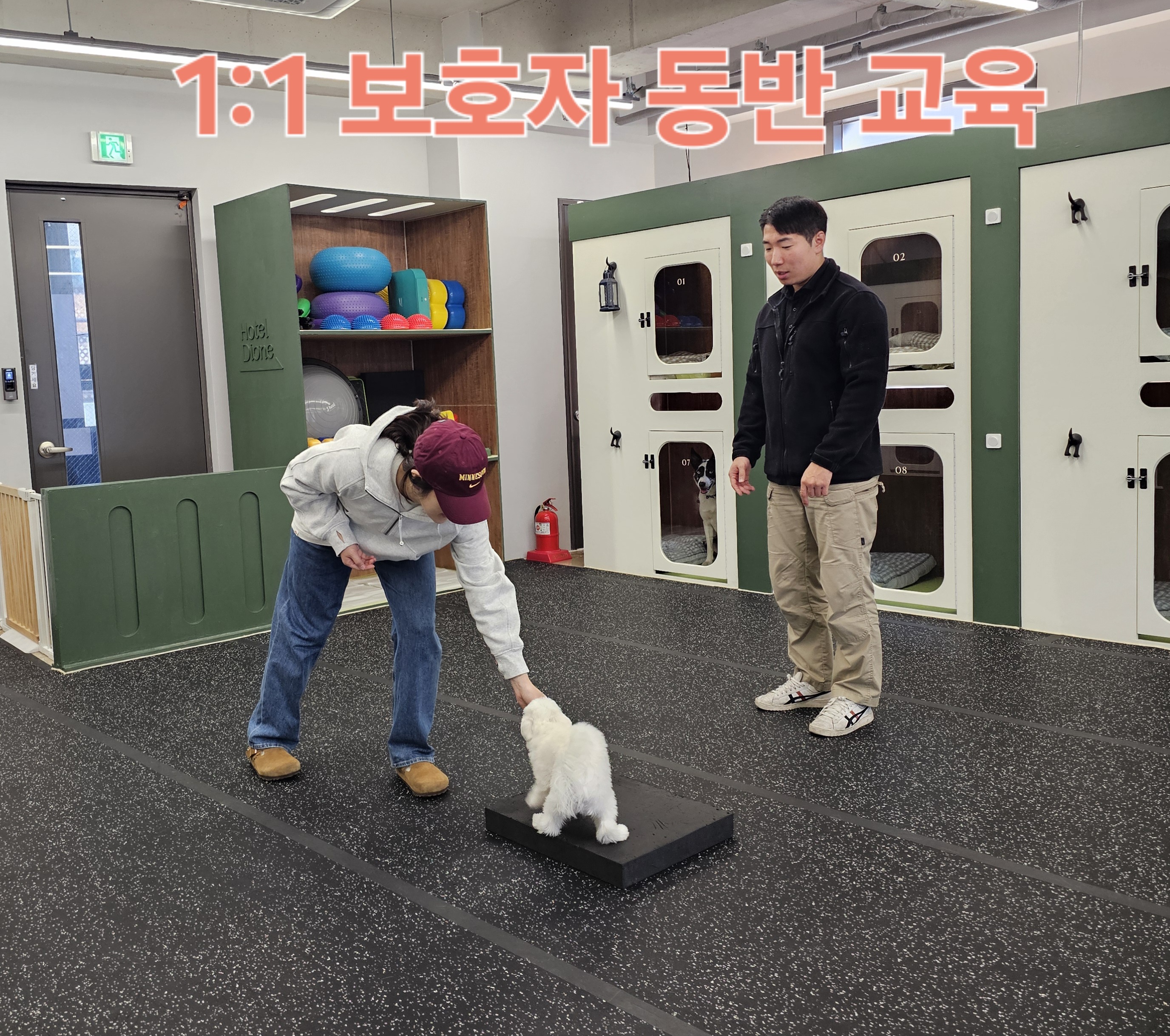 디오네 도그케어 서초점 대표 이미지