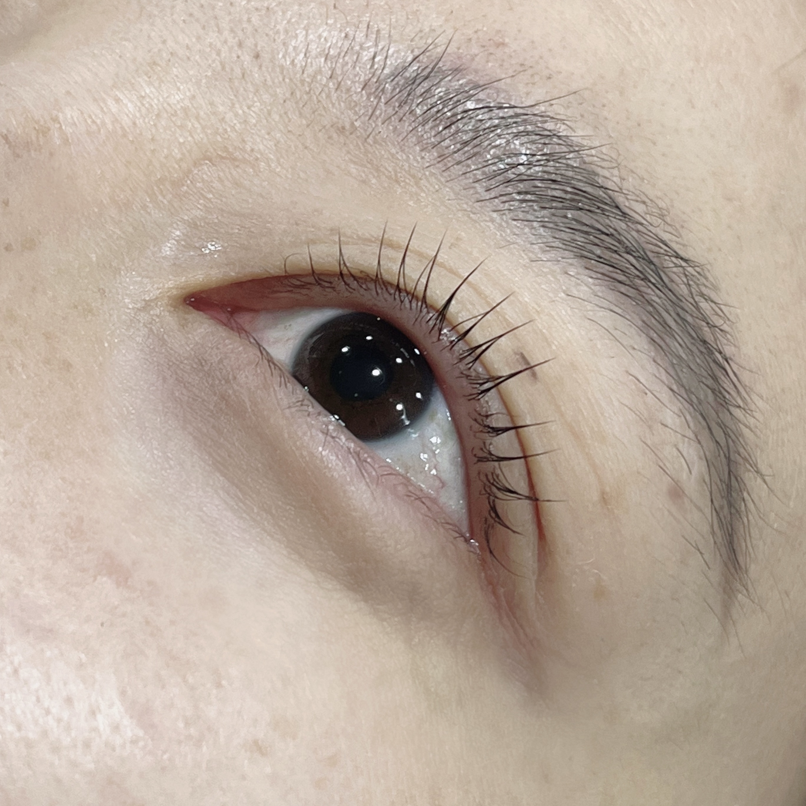 쥬디샵 대표 이미지