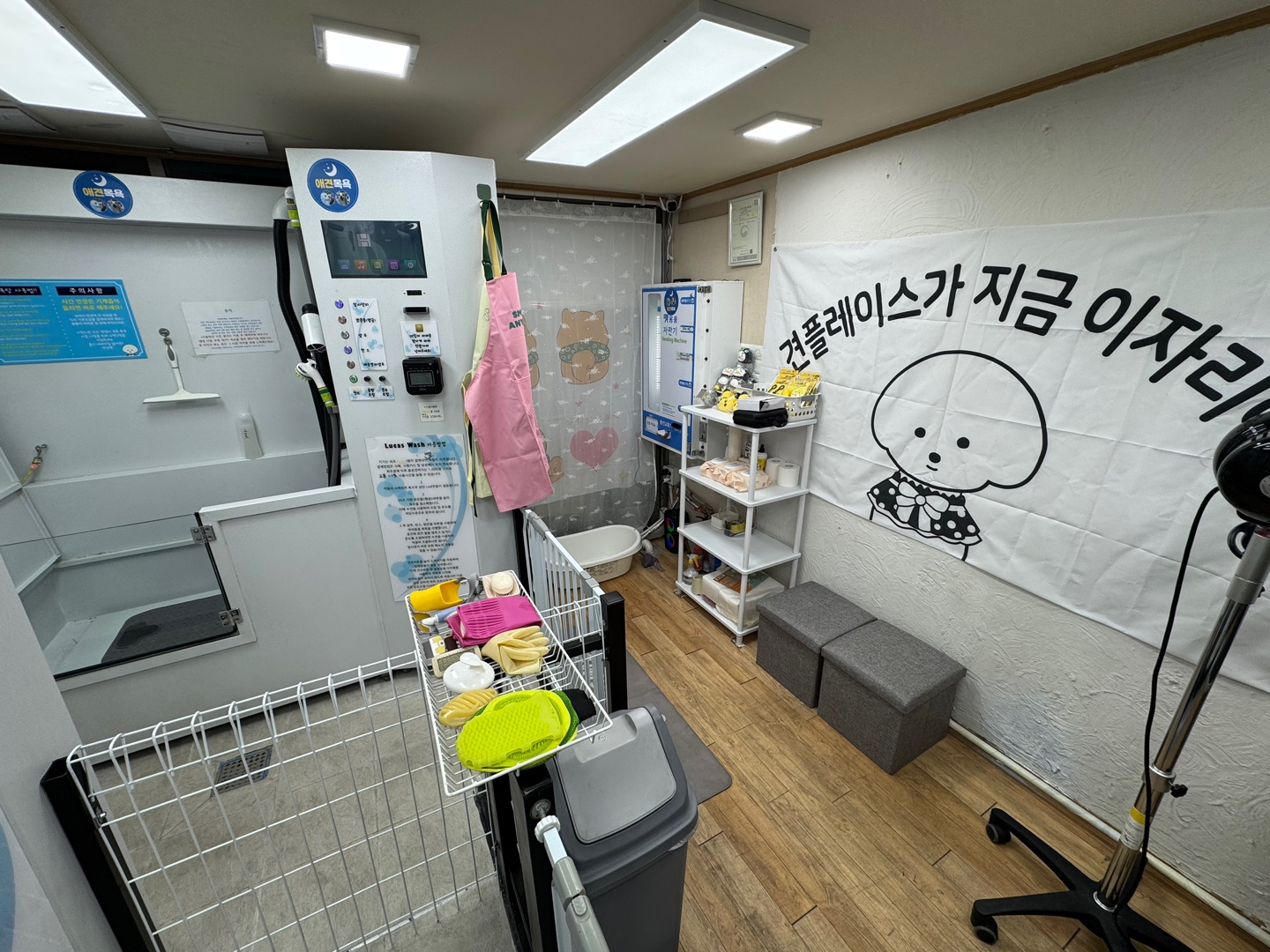 무인애견강아지셀프목욕 은평점 대표 이미지
