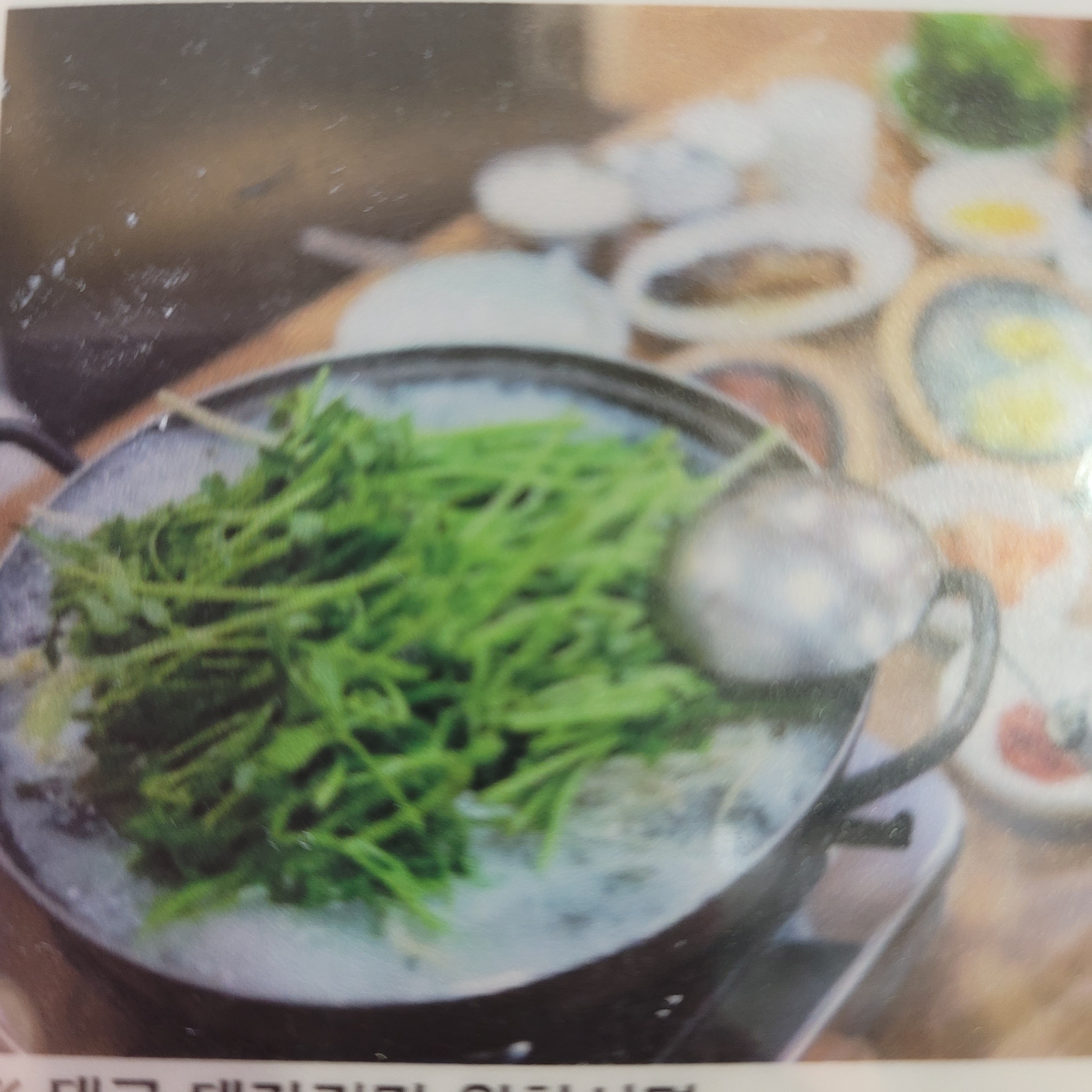 정고집볼테기