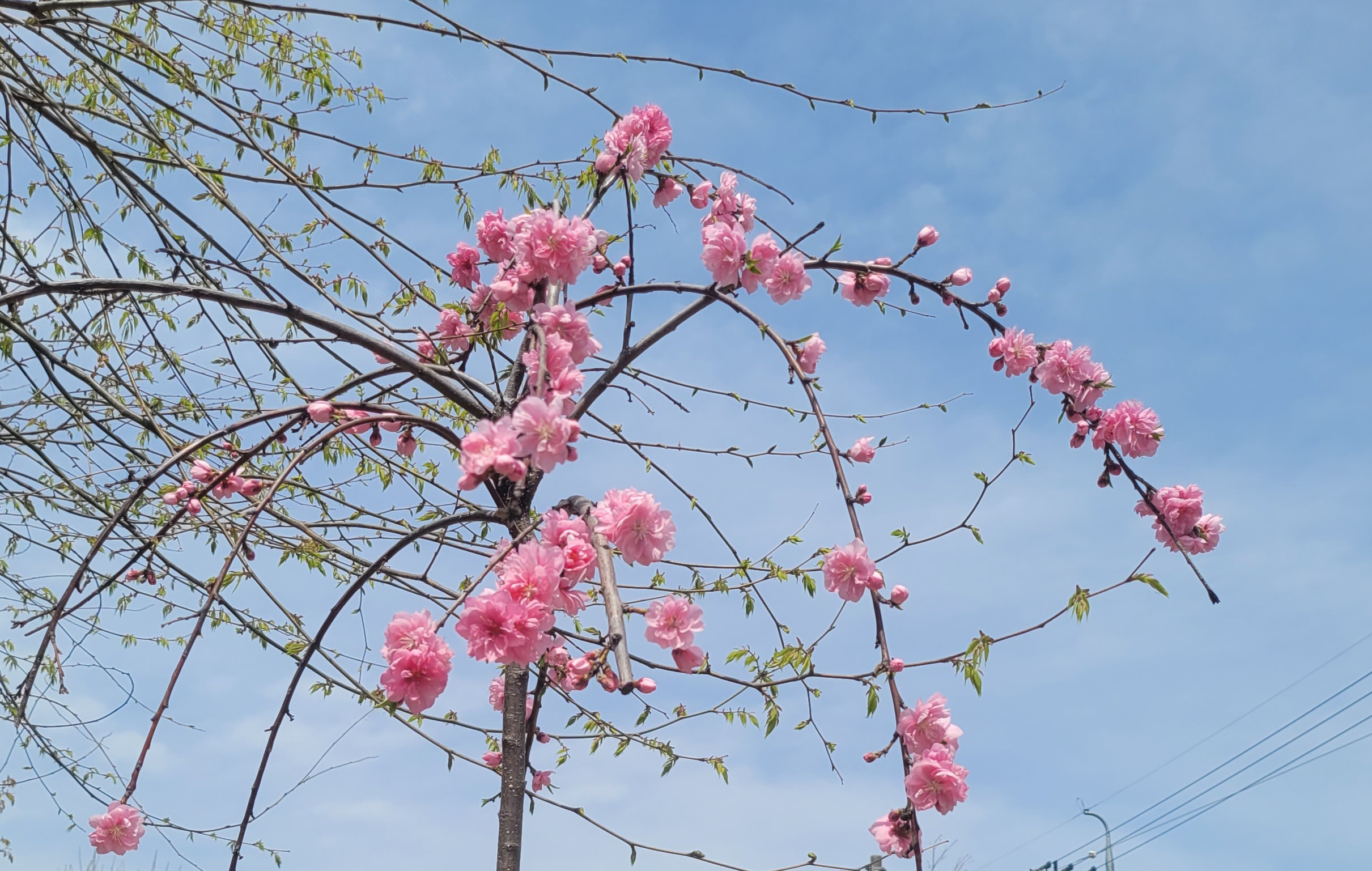 하이넬그린축산