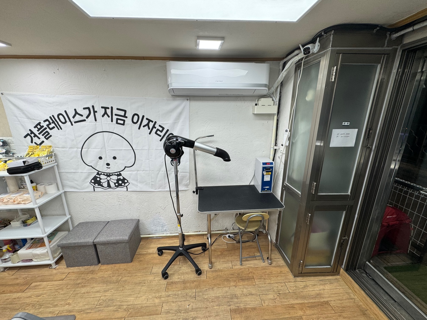 무인애견강아지셀프목욕 은평점 대표 이미지