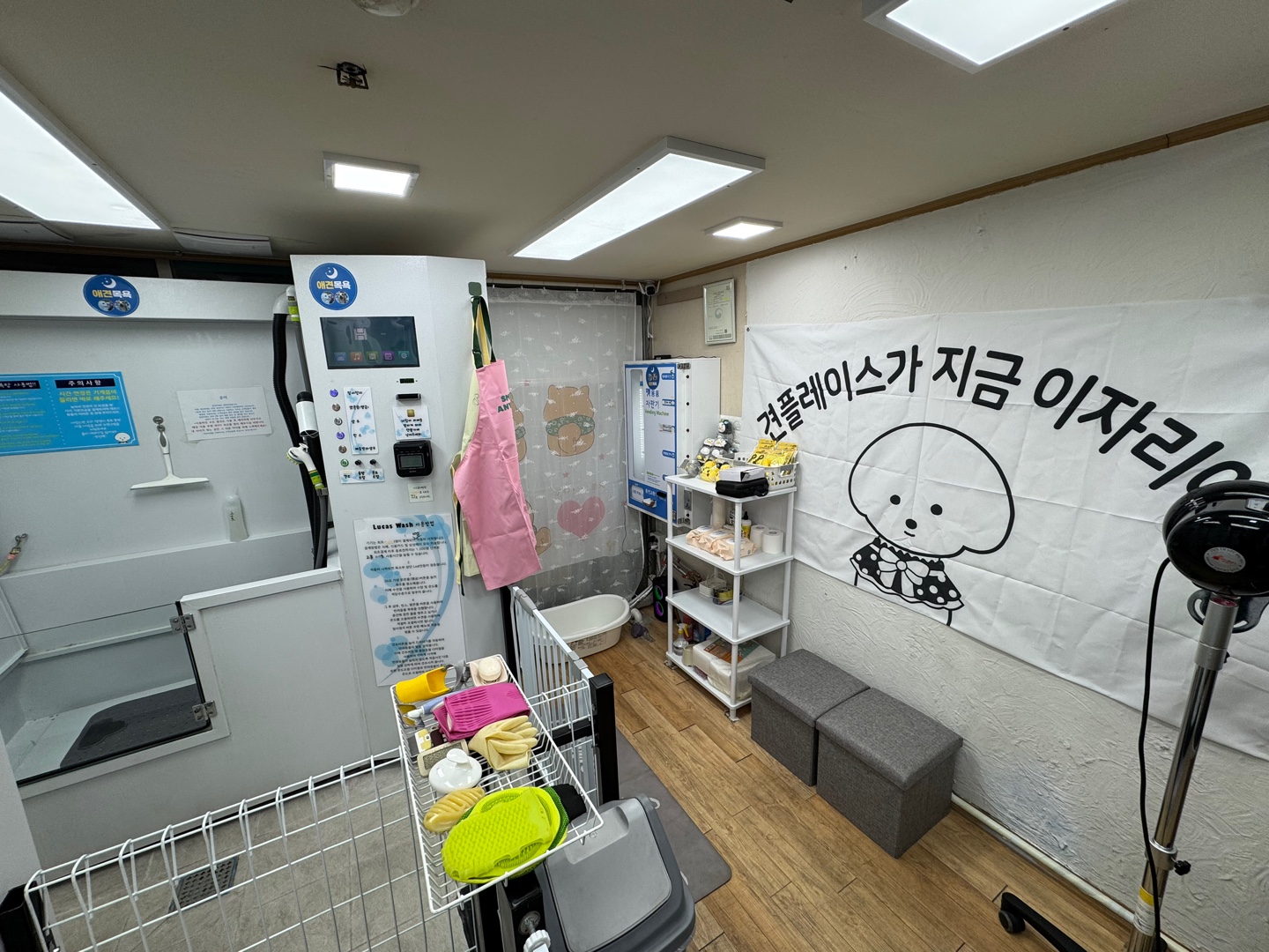 무인애견강아지셀프목욕 은평점 대표 이미지