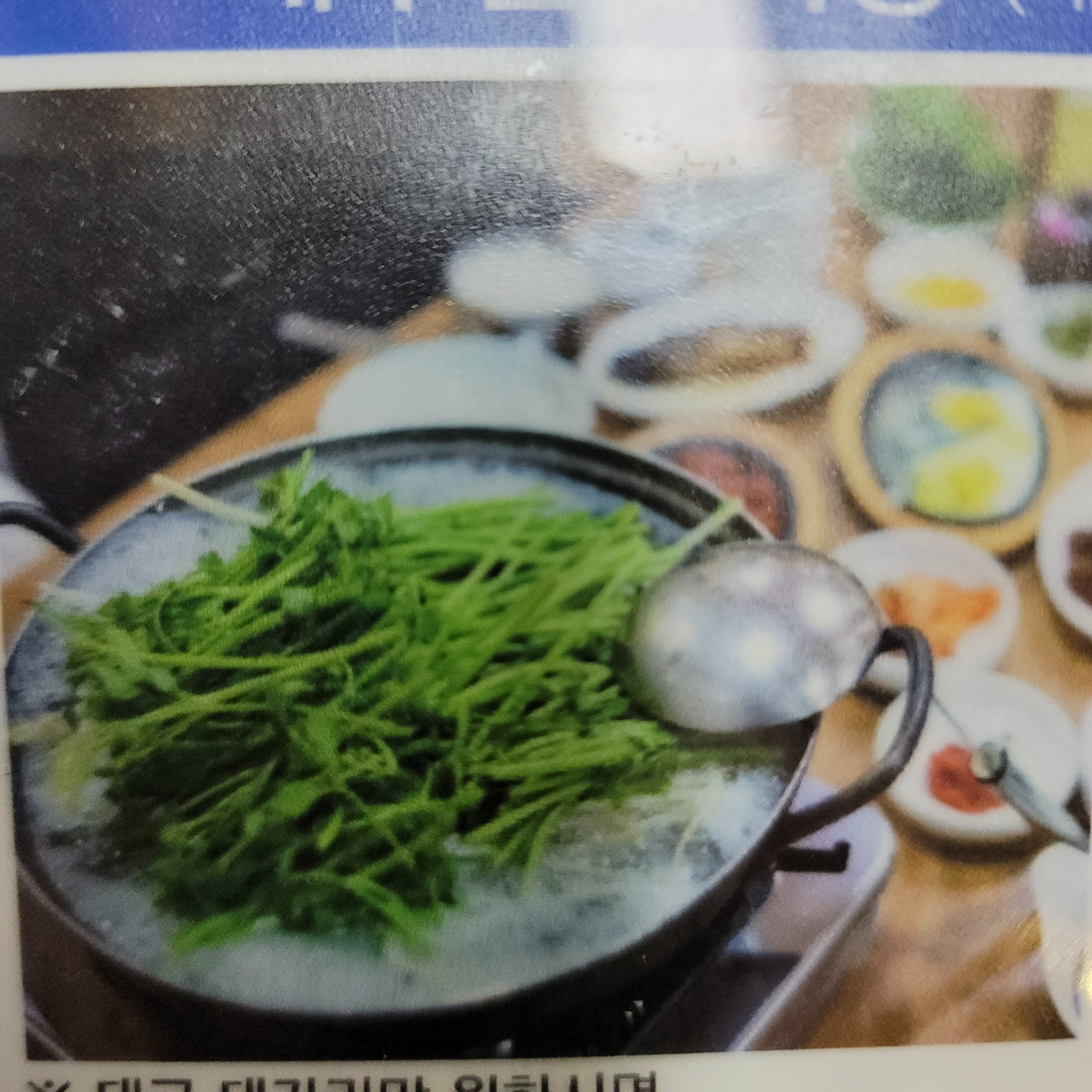 정고집볼테기