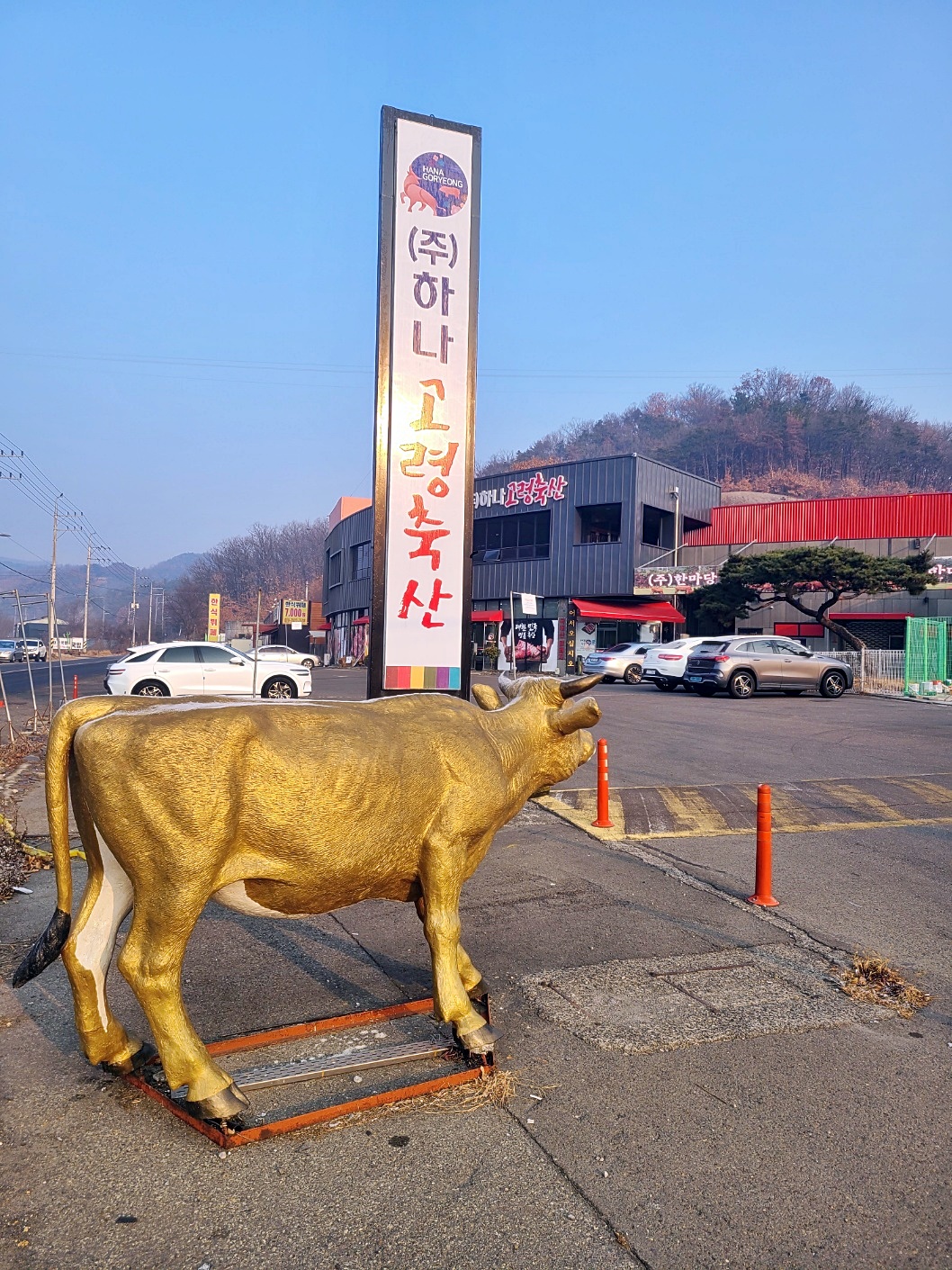 고령축산 대표 이미지