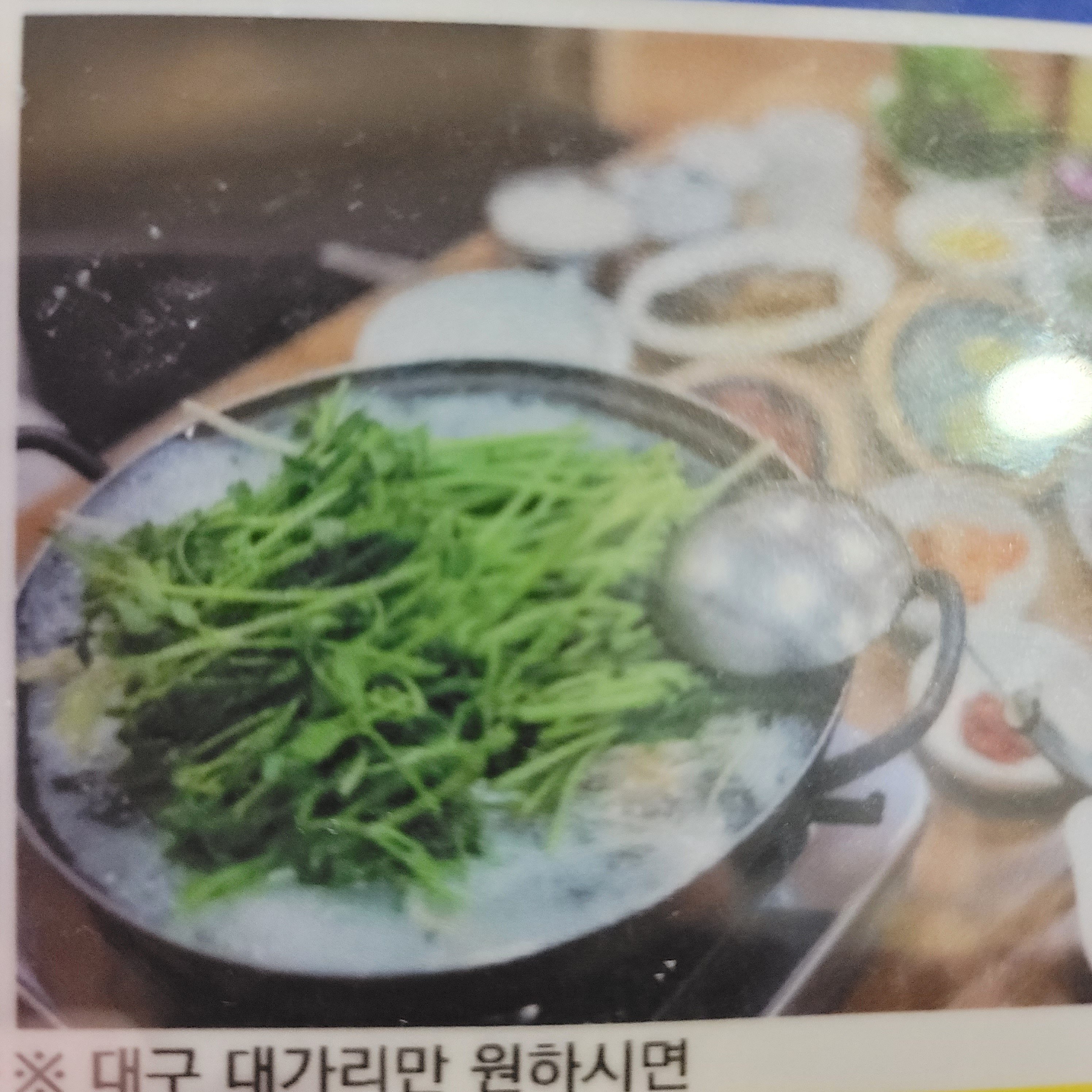 정고집볼테기