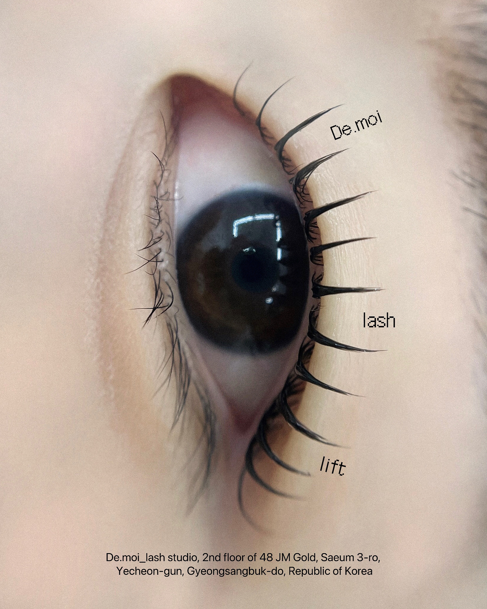 드무아 래쉬 스튜디오 대표 이미지