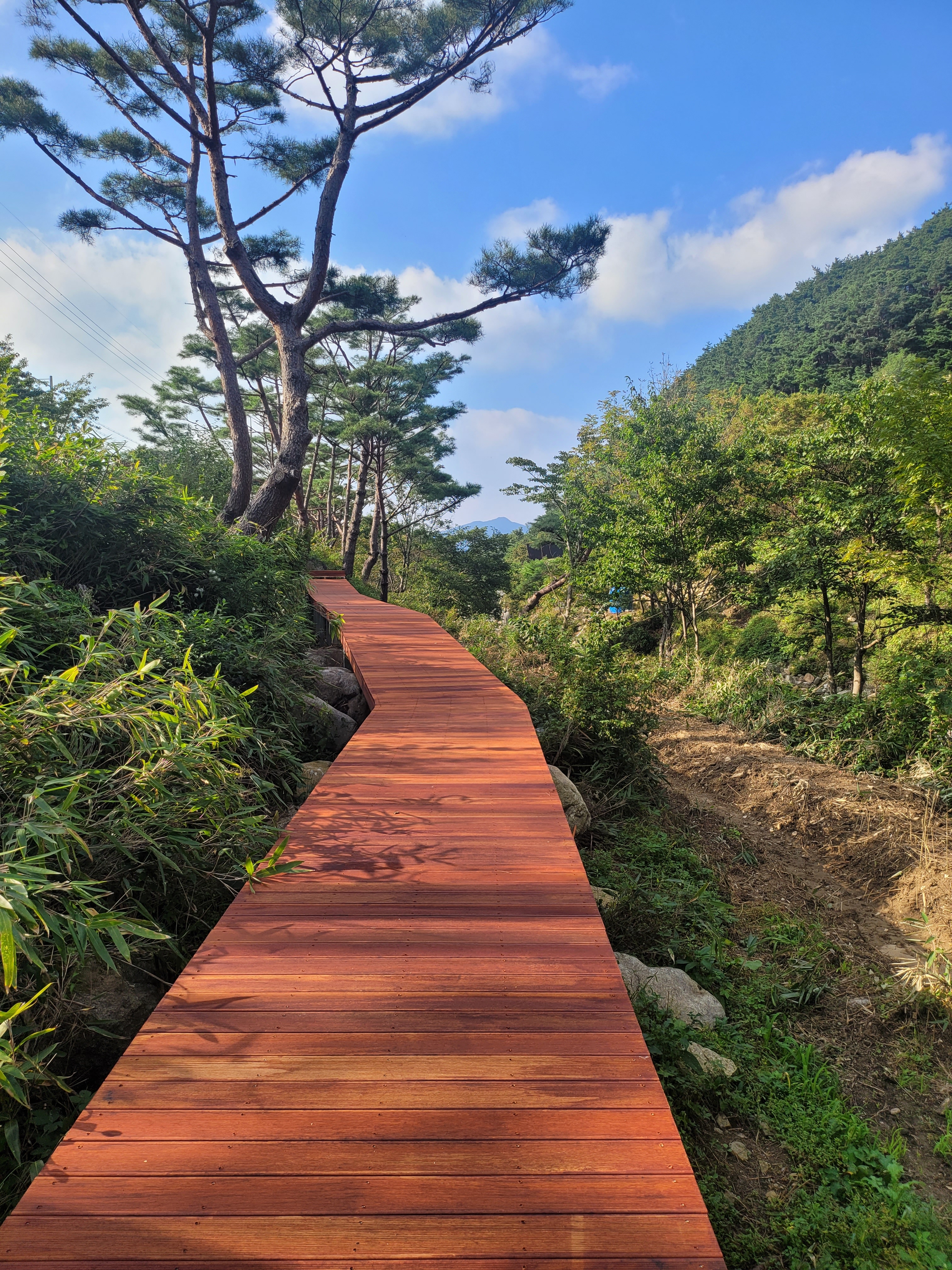 하이넬그린축산