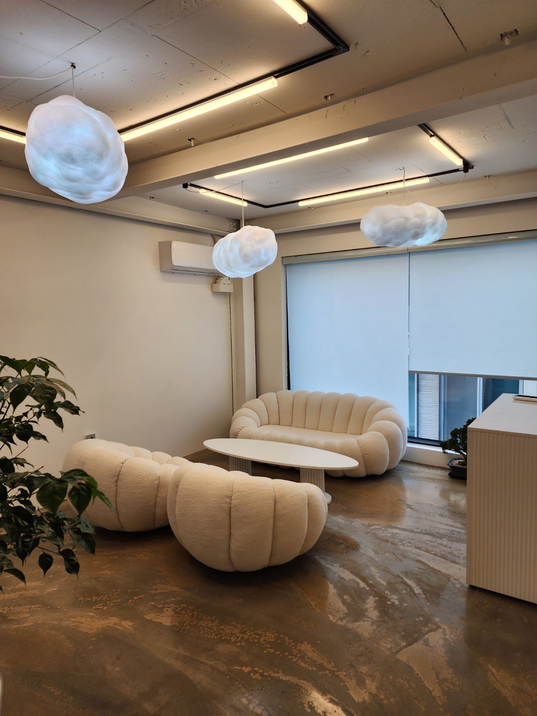 펫문 대표 이미지