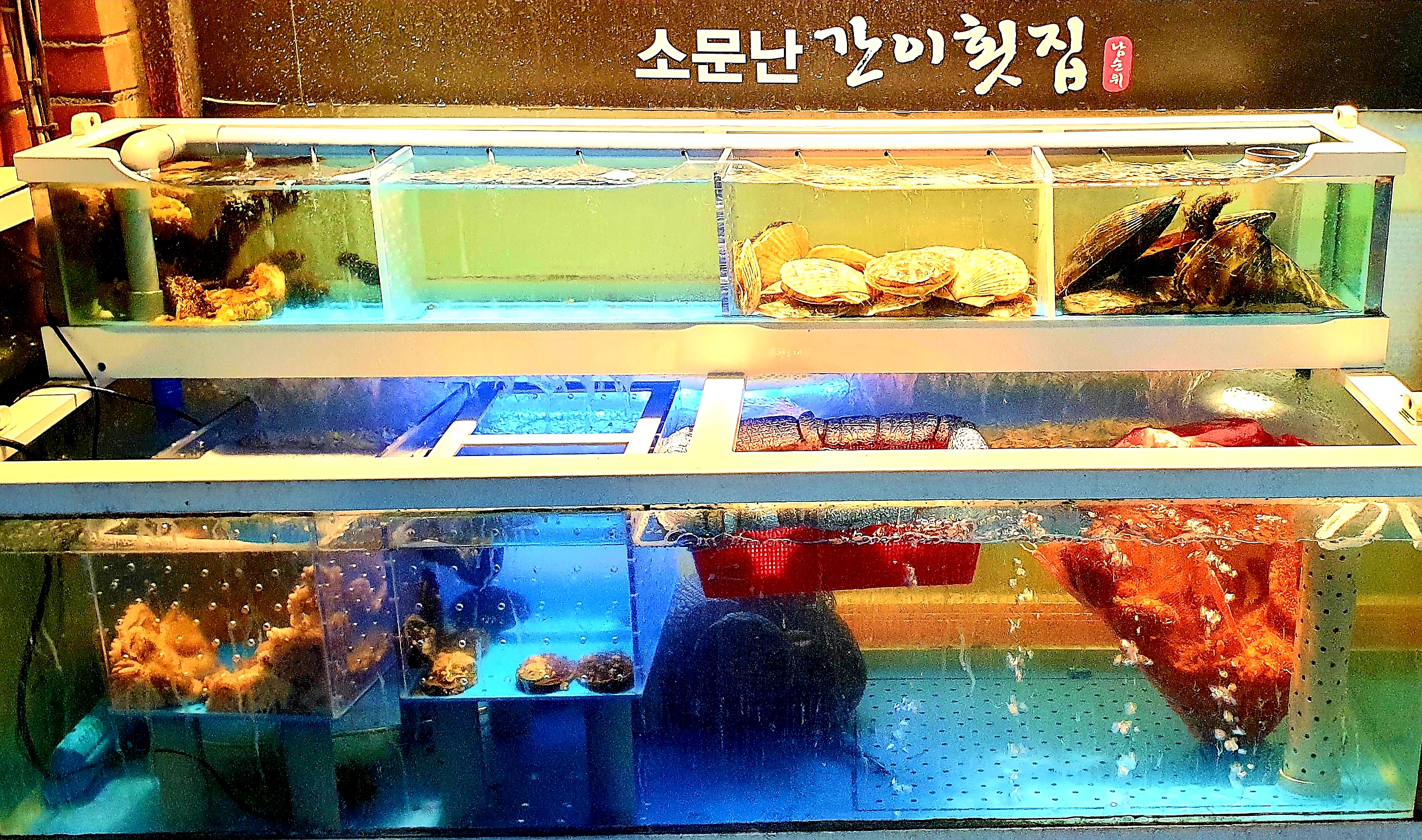 소문난간이횟집 망원점