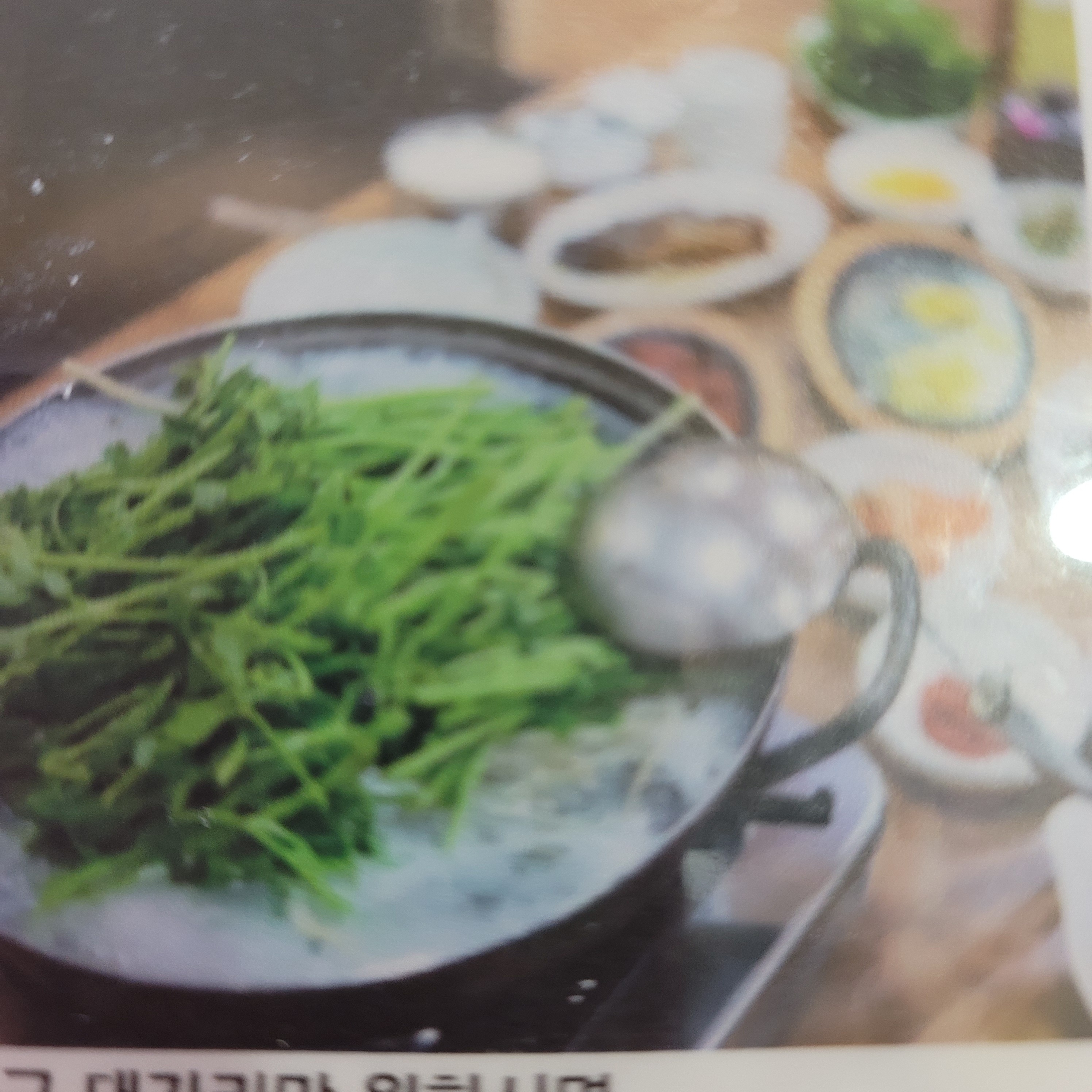 정고집볼테기