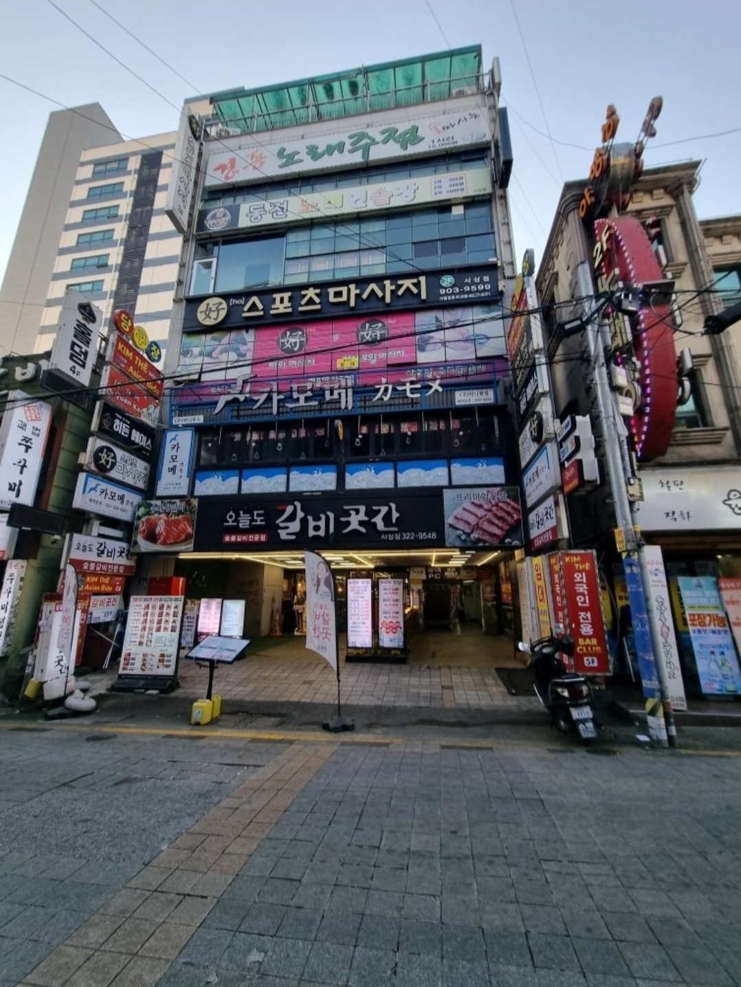 당구치자