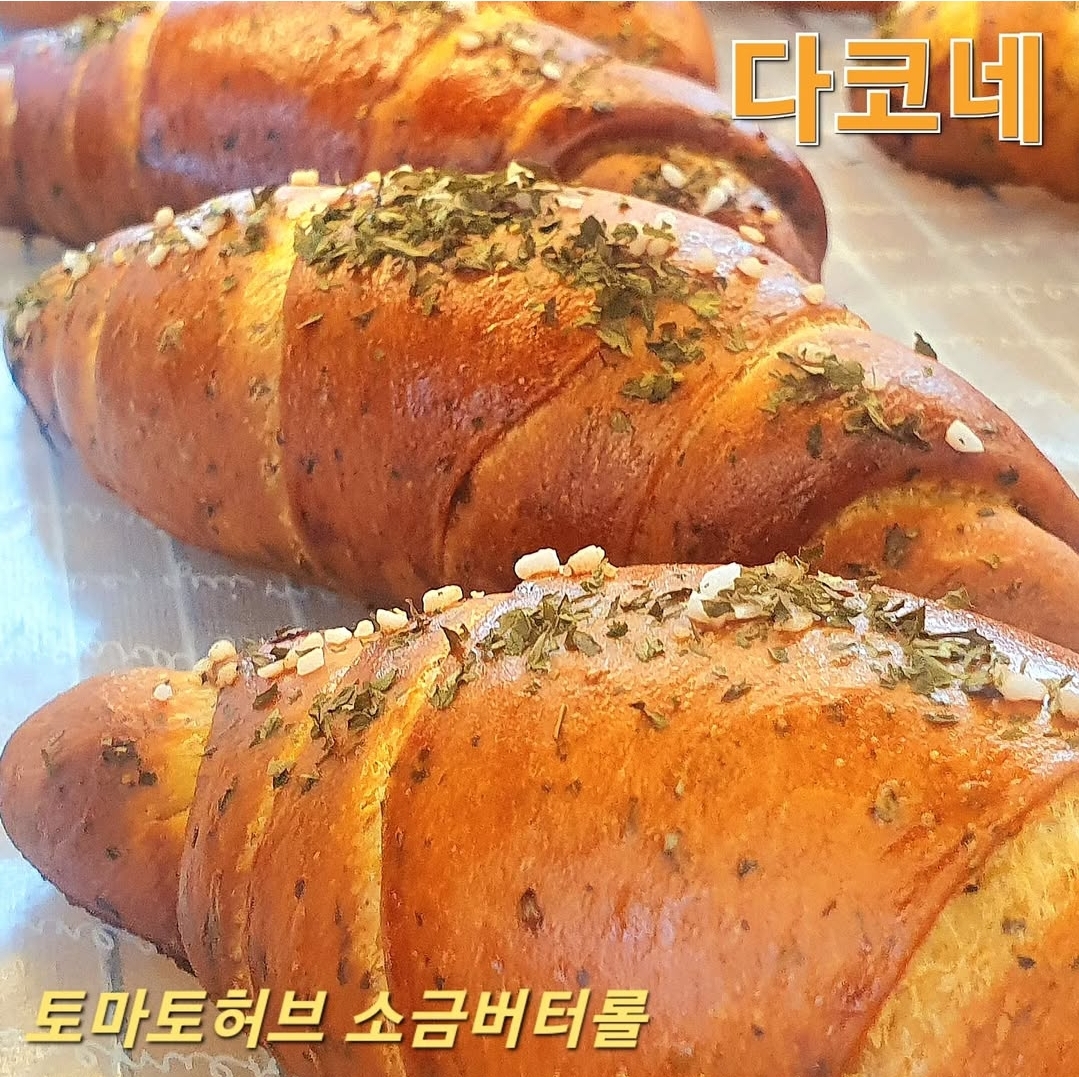 다코네 구좌 평대리 세화 카페