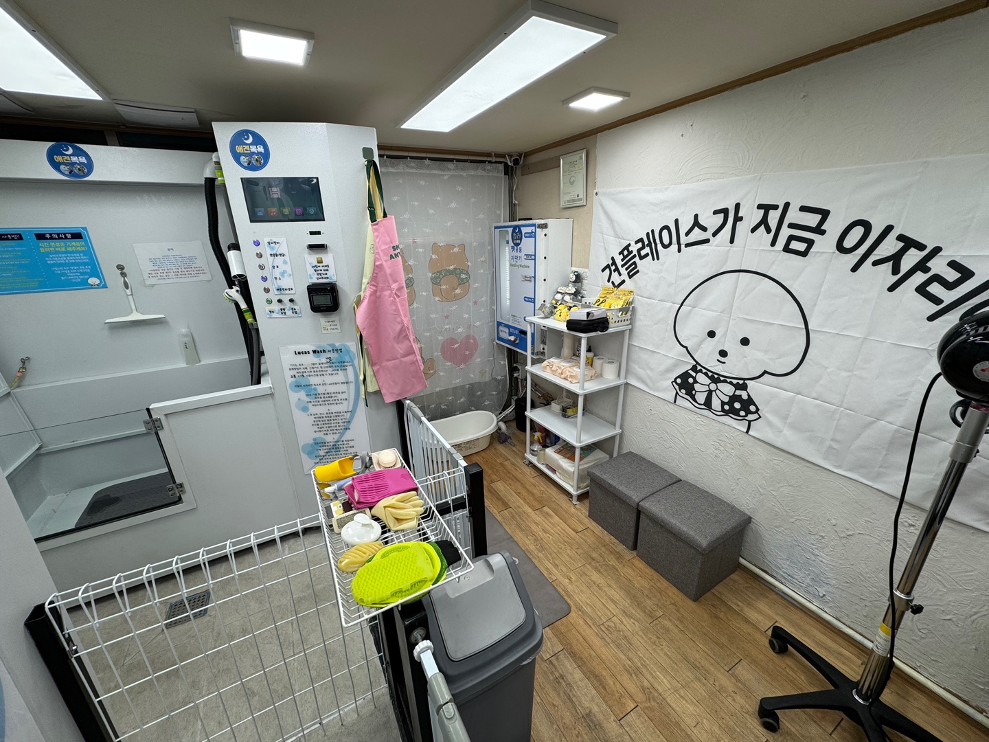 무인애견강아지셀프목욕 은평점 대표 이미지