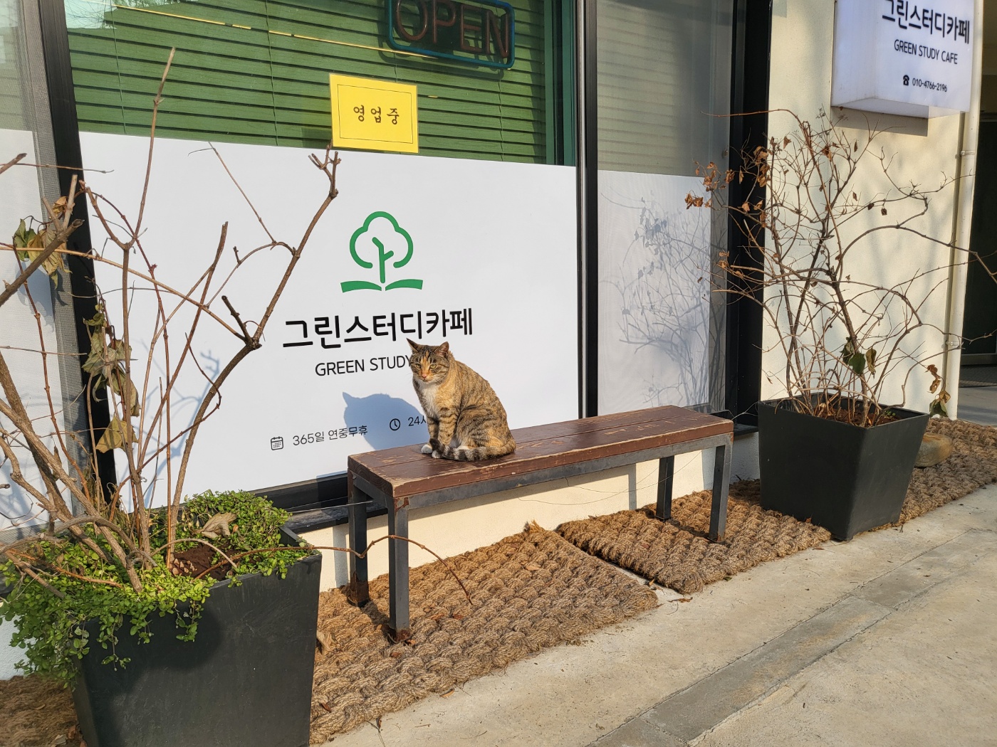 업체사진