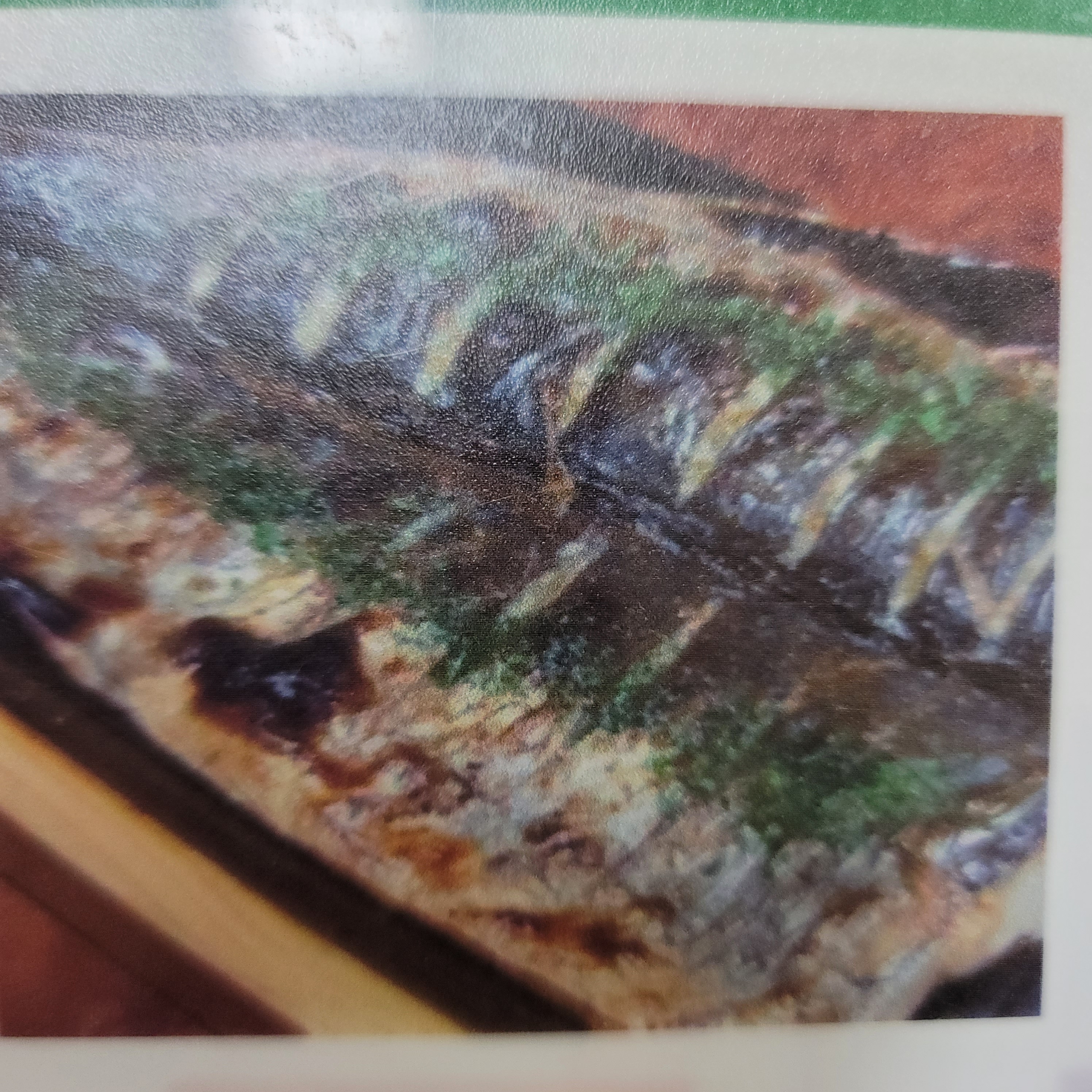 정고집볼테기