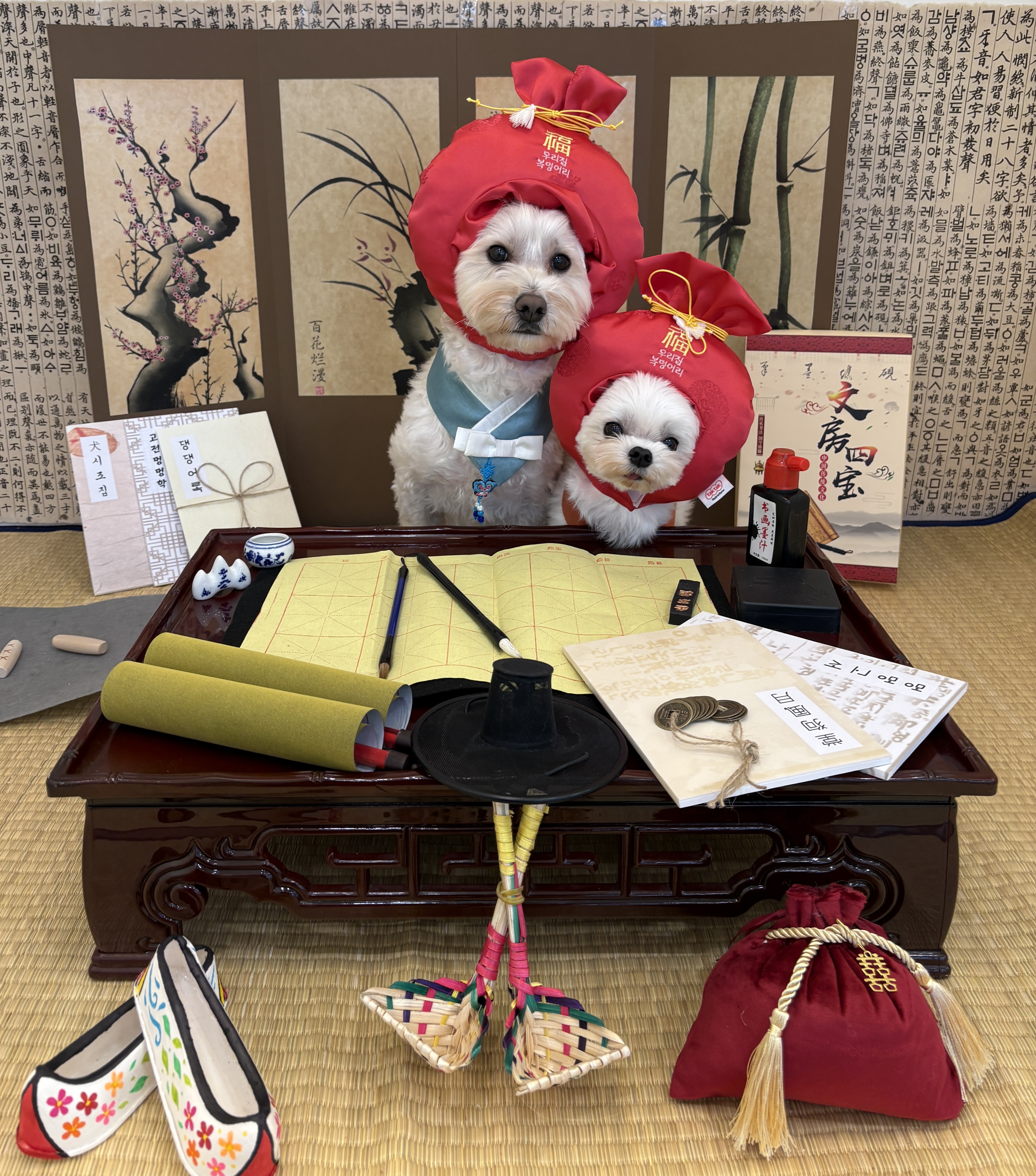 놀다올개 대표 이미지