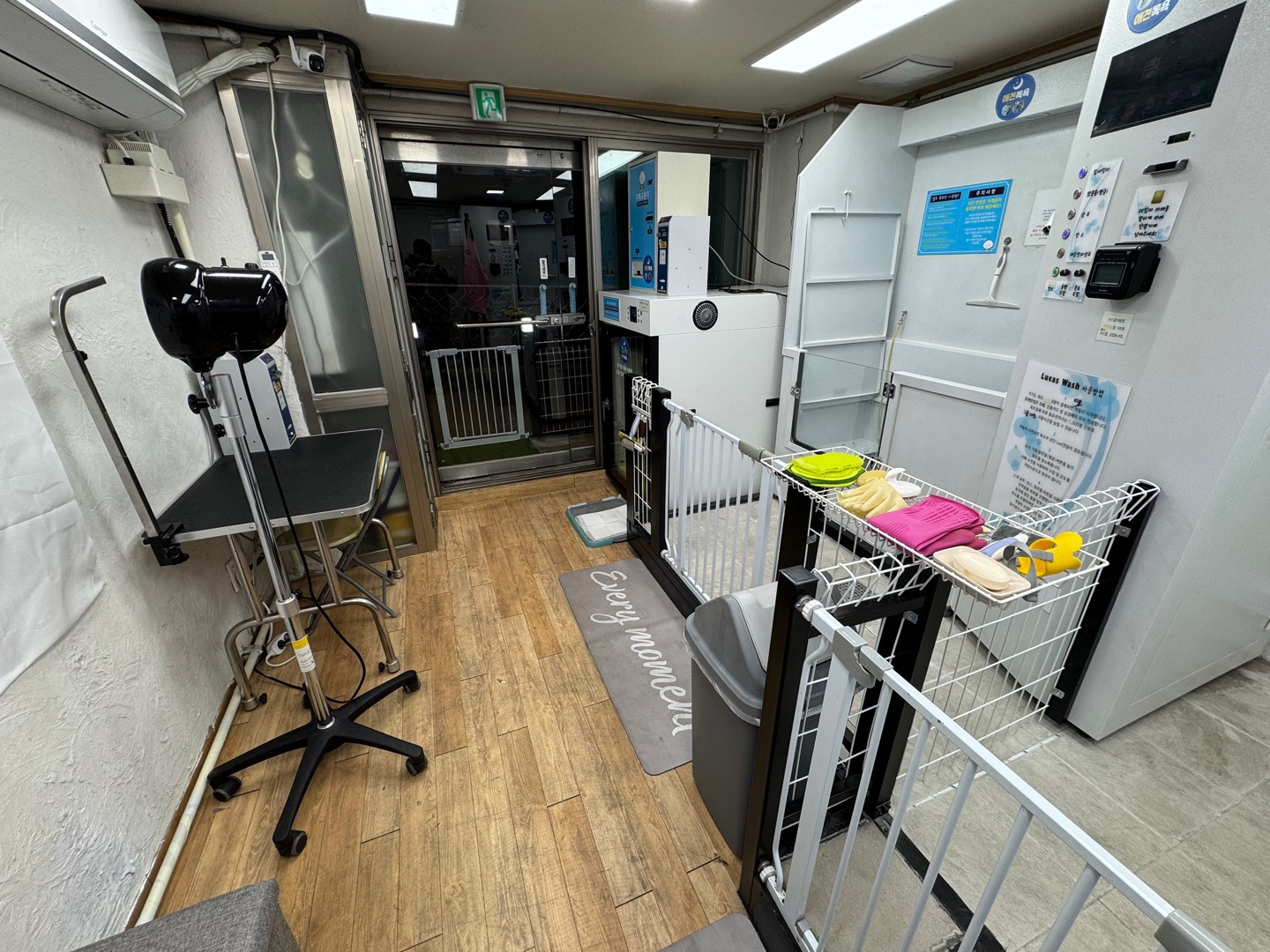 무인애견강아지셀프목욕 은평점 대표 이미지