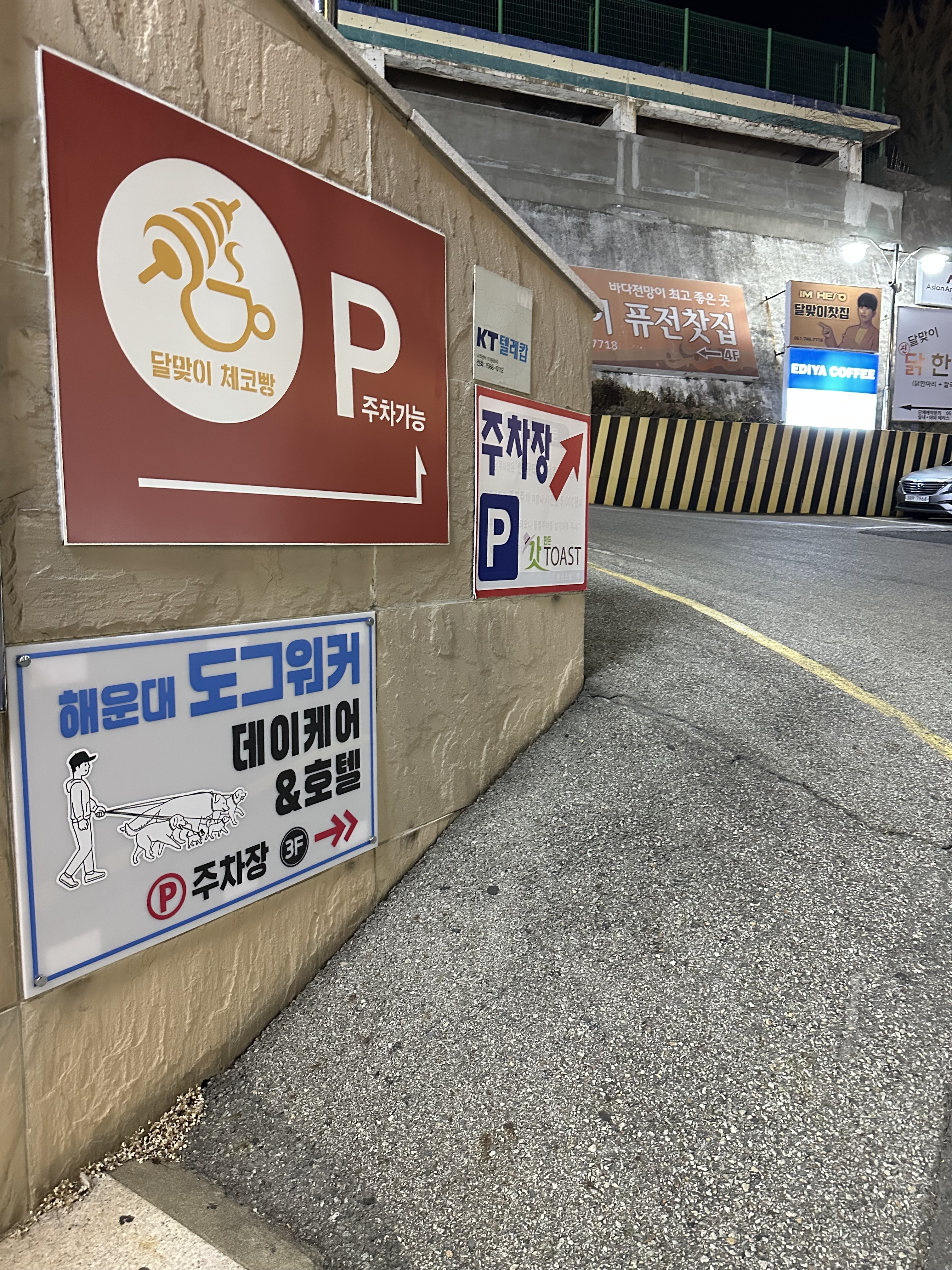 사진 2