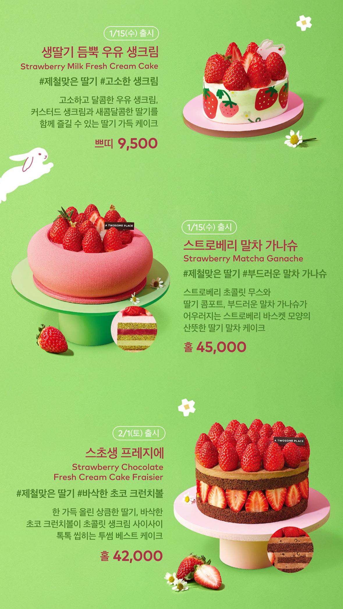 투썸플레이스 제주영어도시점