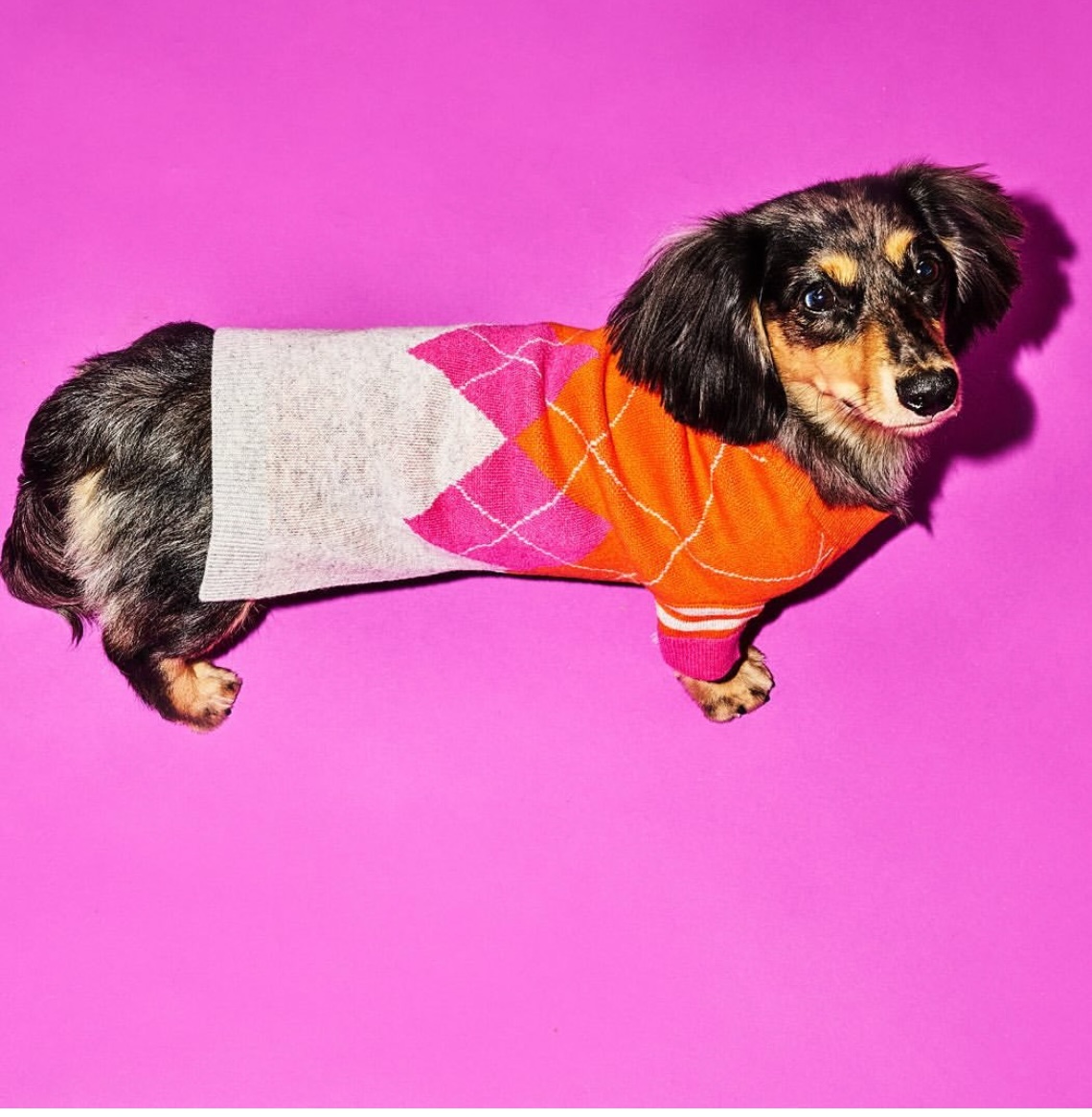 위글벗 대표 이미지