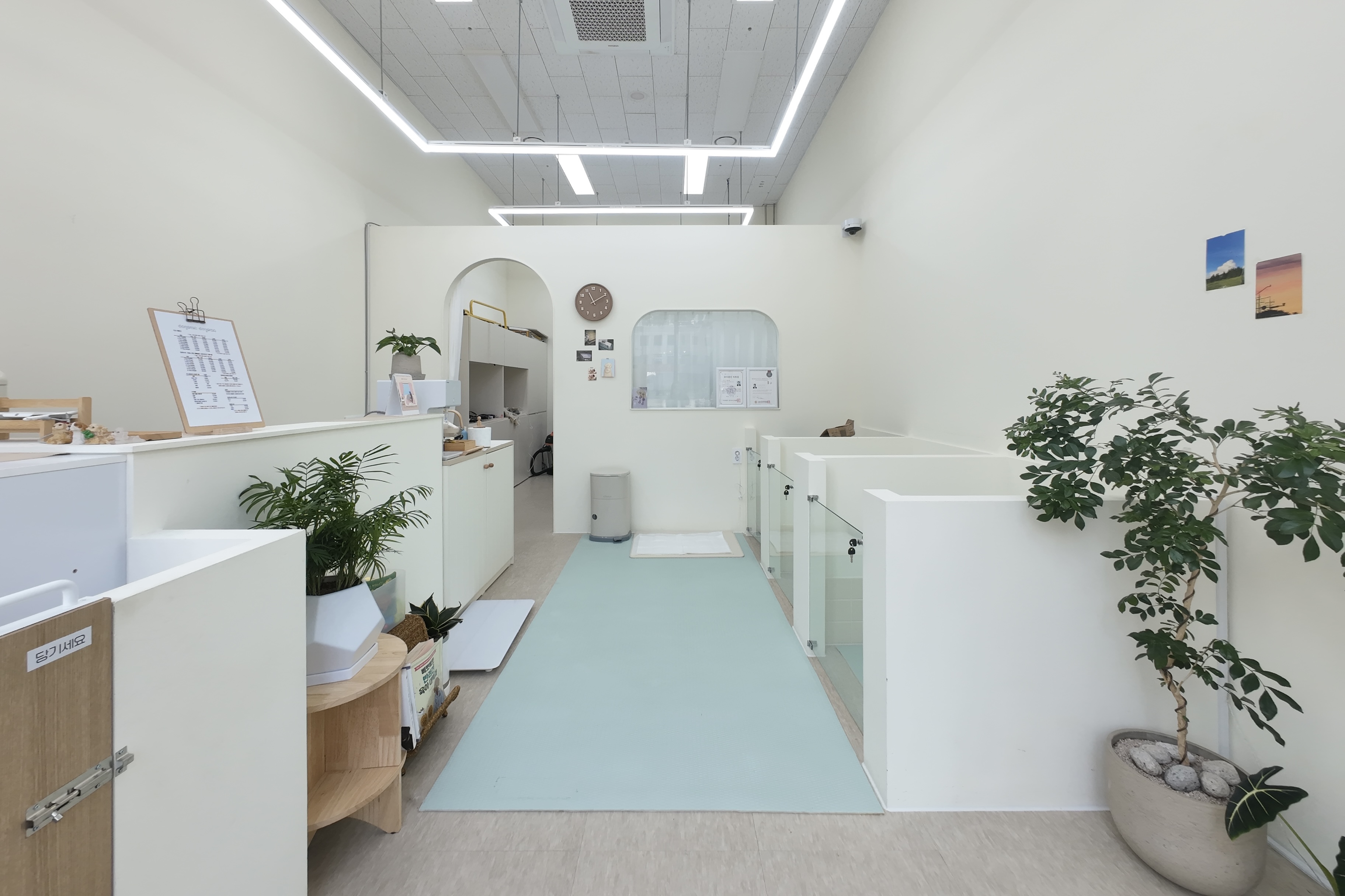 도근도근 대표 이미지