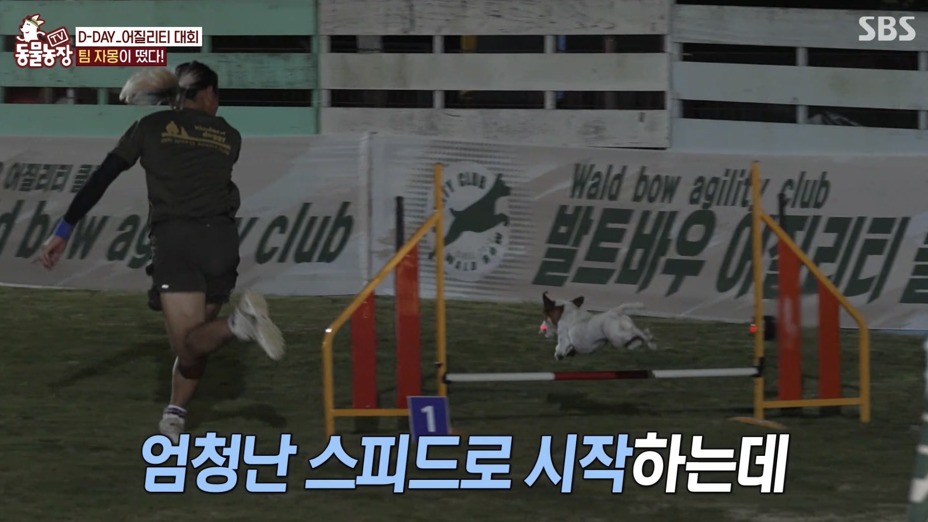 킨더도기 어질리티 훈련소 대표 이미지